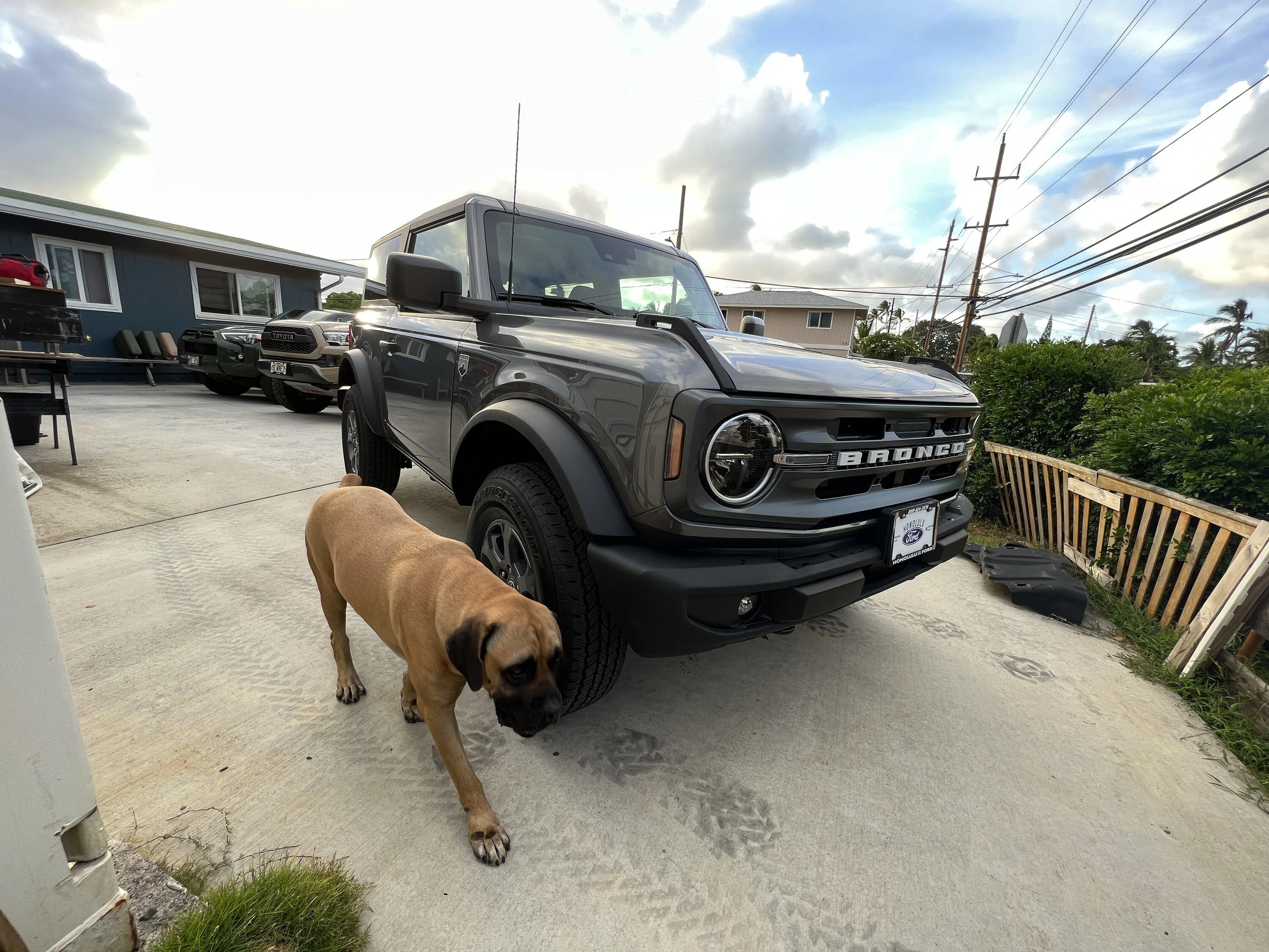 Ford Bronco Bronco Team 2 door. 0AC76A0E-AAD9-4643-A44E-641EC550AF54