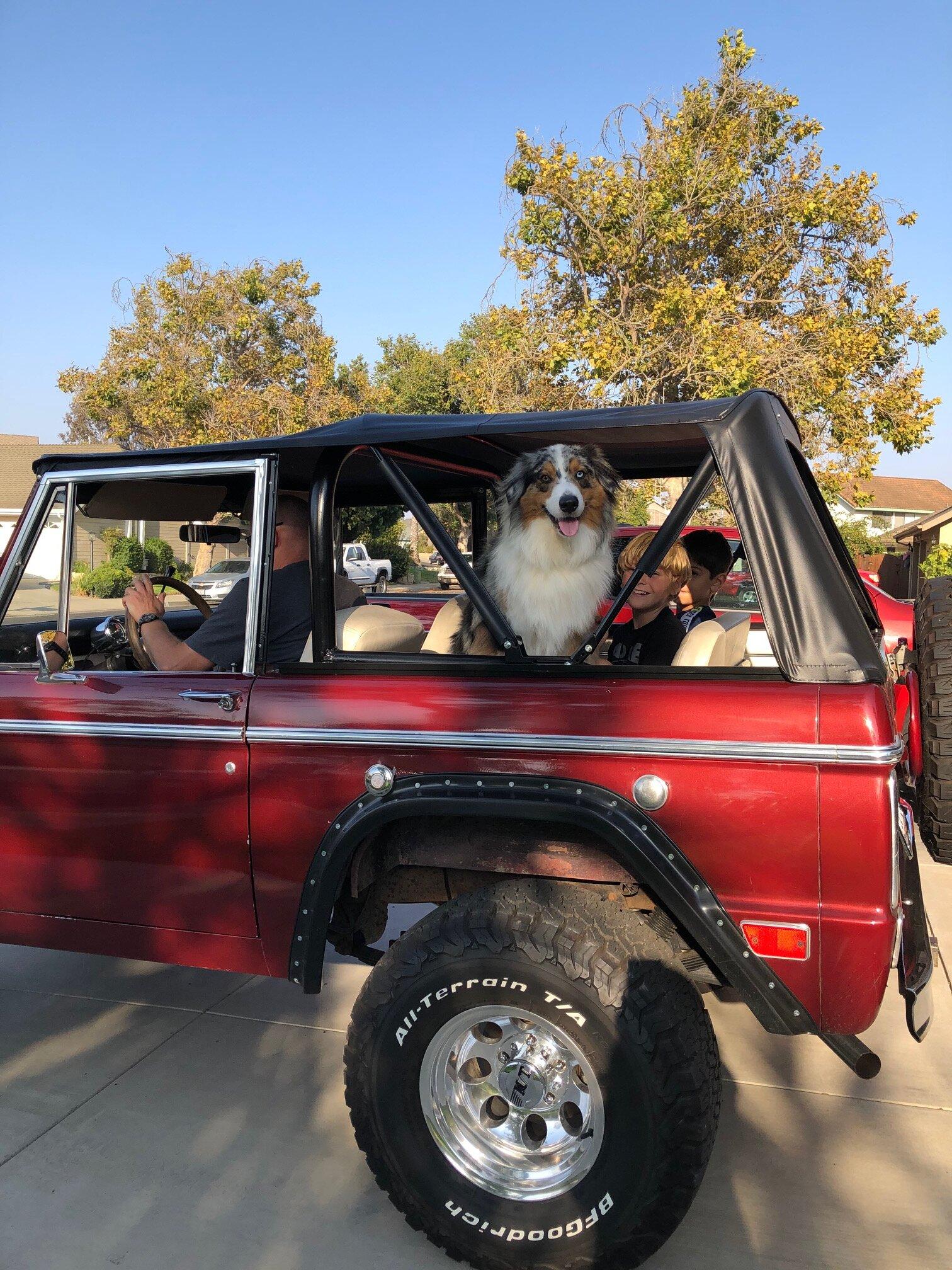 Ford Bronco Mountain Adventure - Texas to Colorado (and Back) Hutch Backseat