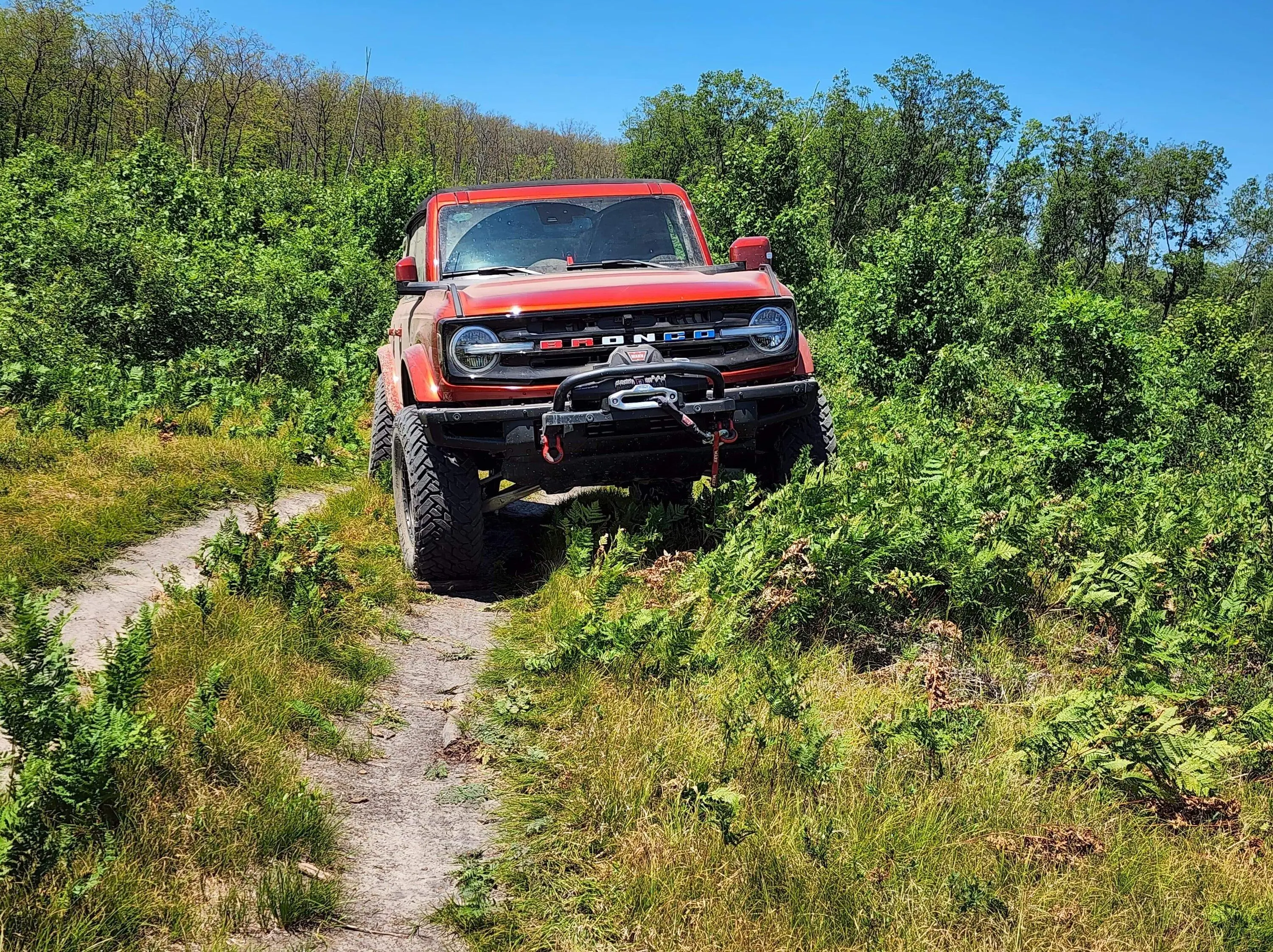 Ford Bronco A little fun today A29E604C-B302-44C2-81D8-AB357DAA34BD