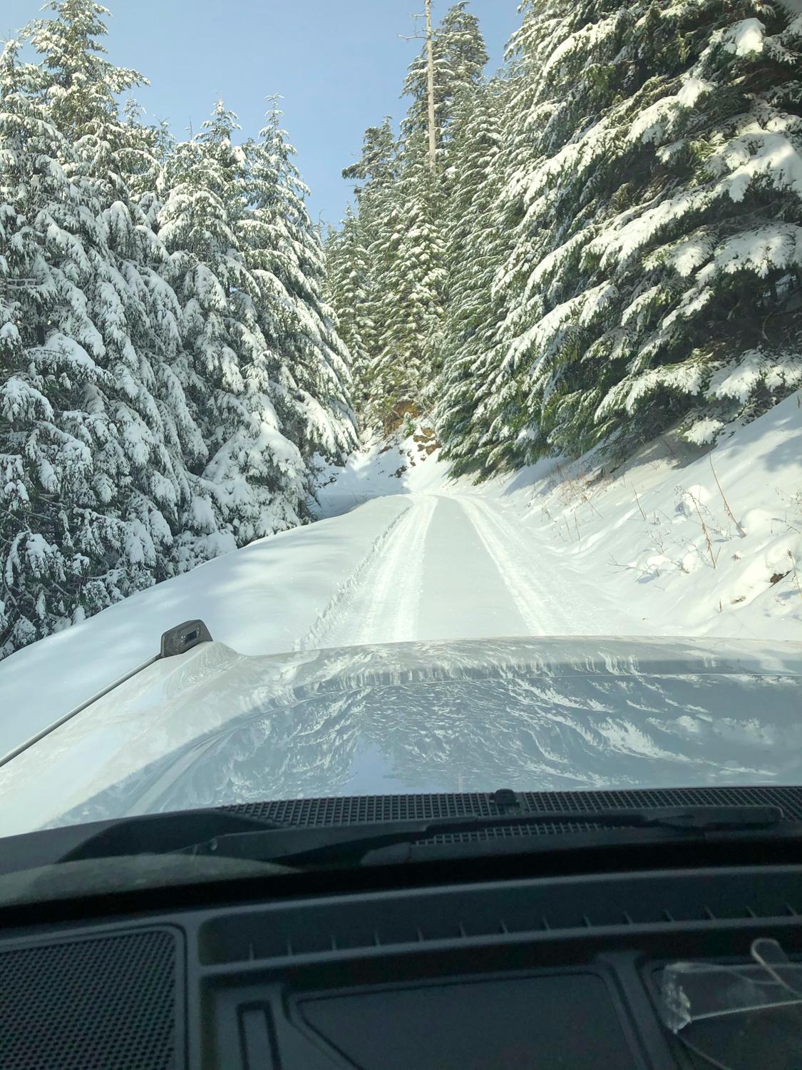 Ford Bronco Is your Bronco a Pavement Princess or a Dirt Diva?!? Snow-Bronco