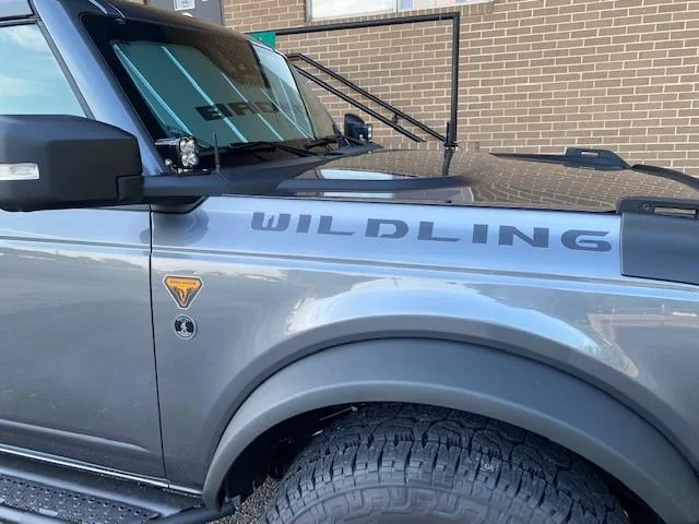 Ford Bronco Ok, so is naming your bronco a "thing"? 67-4