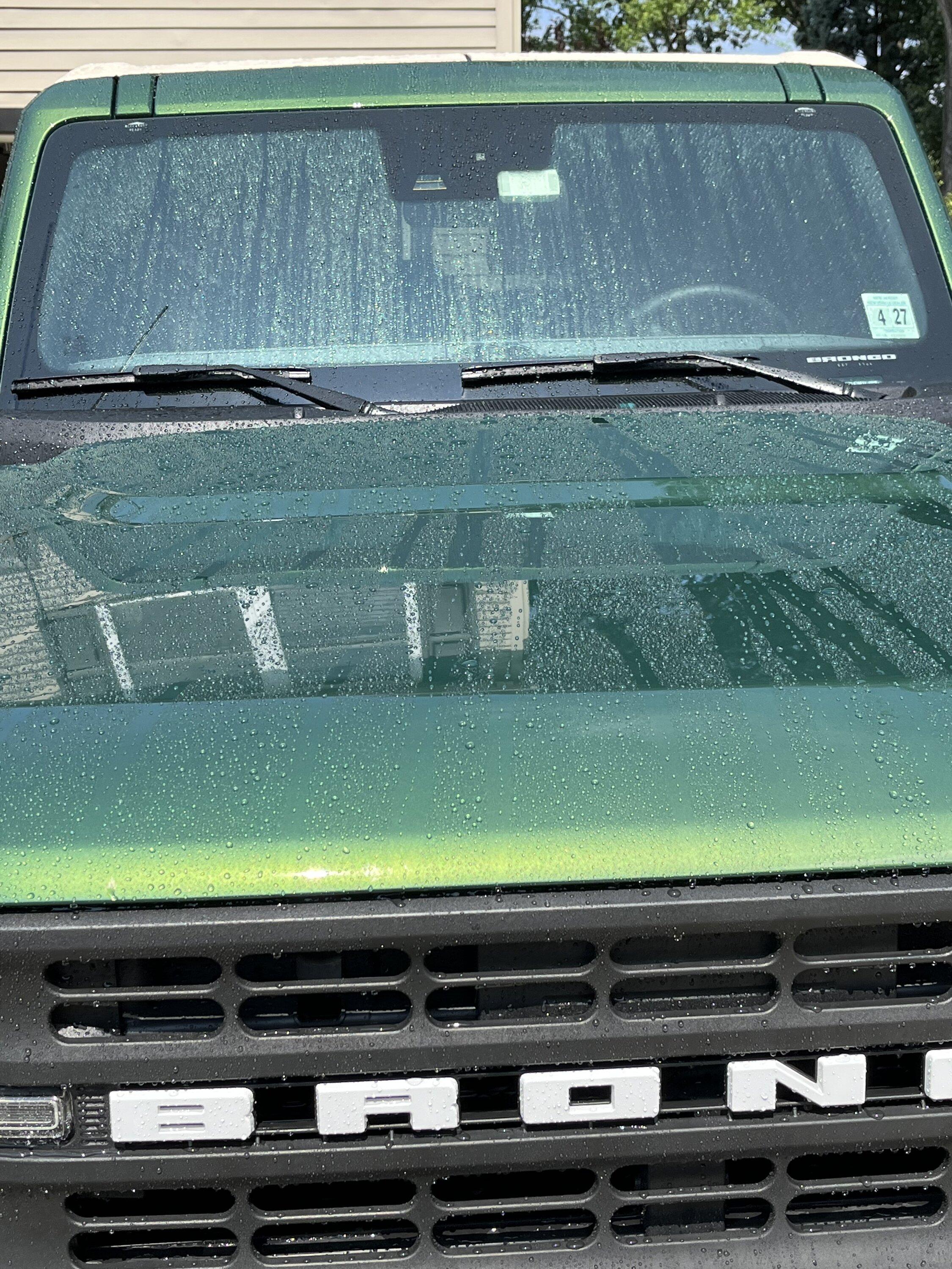 Ford Bronco Black Diamond Mild Build 1D74E189-BFCB-4C9B-ABDF-F352E60E86BB
