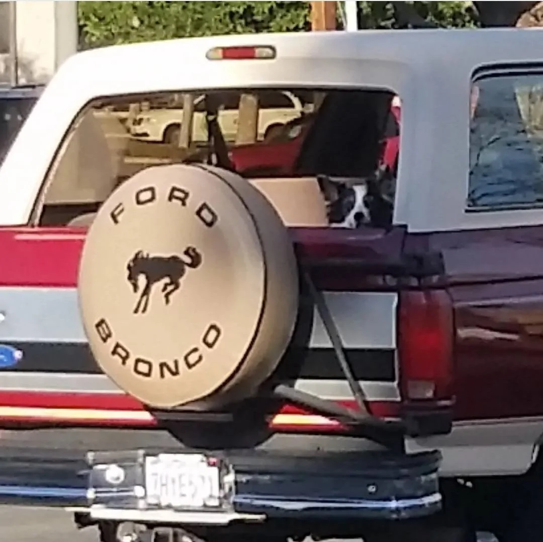 Ford Bronco Welp, Today Sucks.... Screenshot_20220717-154930_Instagram