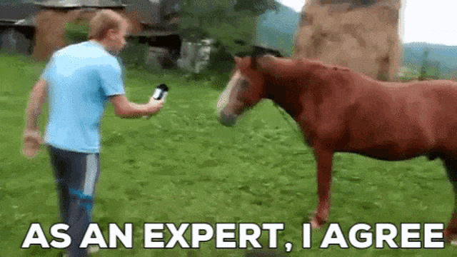 Ford Bronco Anniversary Emblem Installed horse-as-an-expert-i-agree