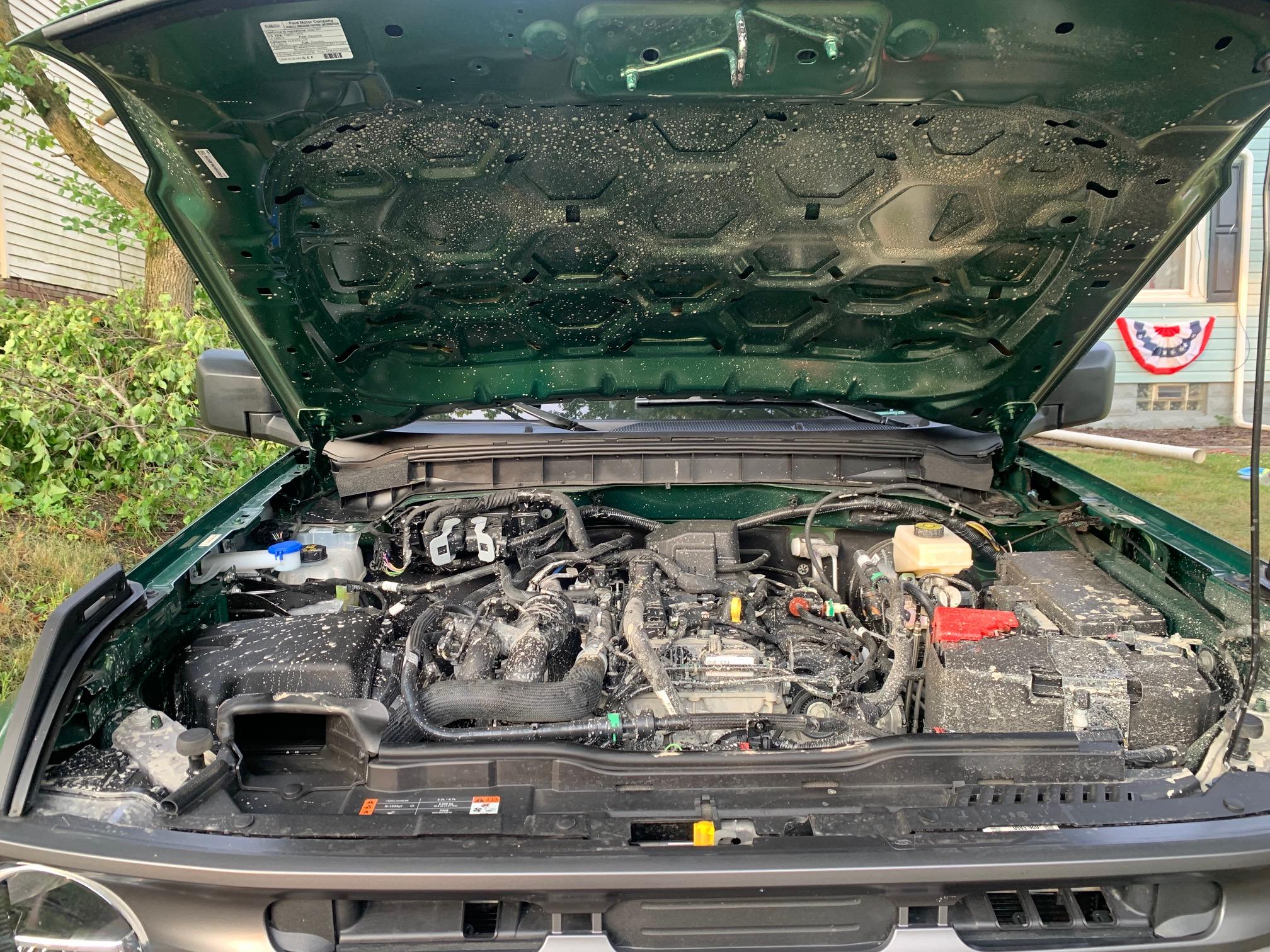 Ford Bronco Cleaning Engine Bay? IMG_3522