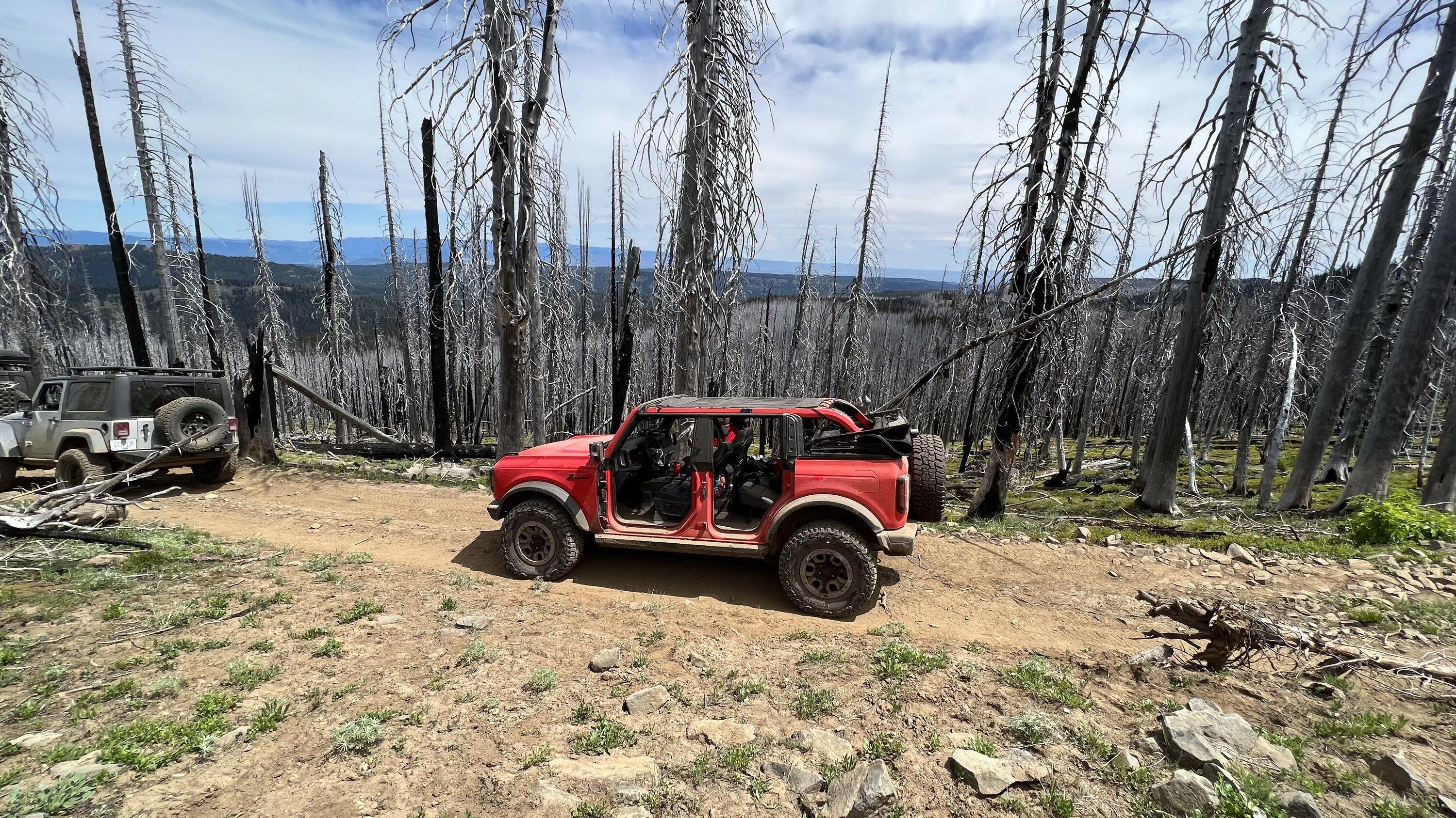 Ford Bronco Badlands w/ sasquach.... leveling kit? IMG_4068