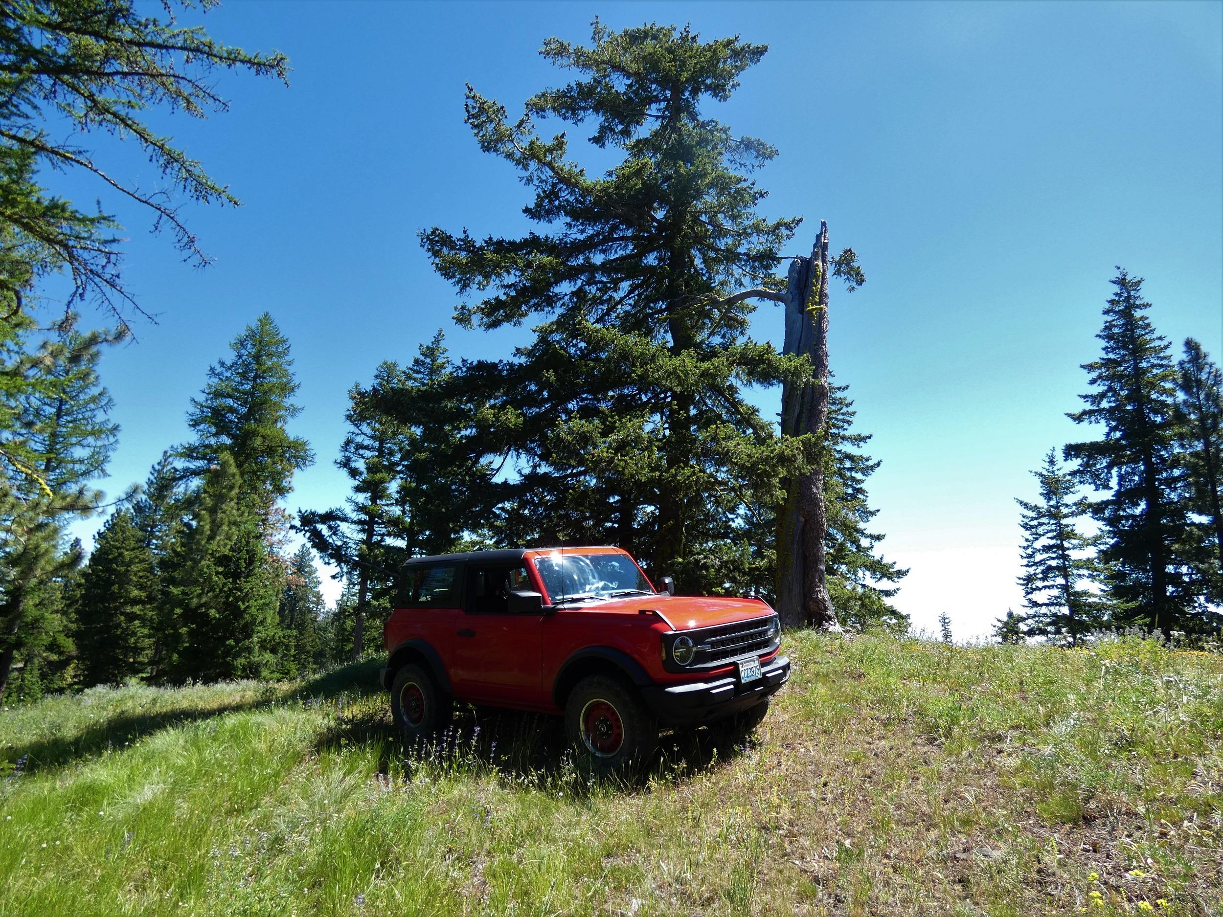 Ford Bronco Timberwolf Mountain Drive P1010596.JPG
