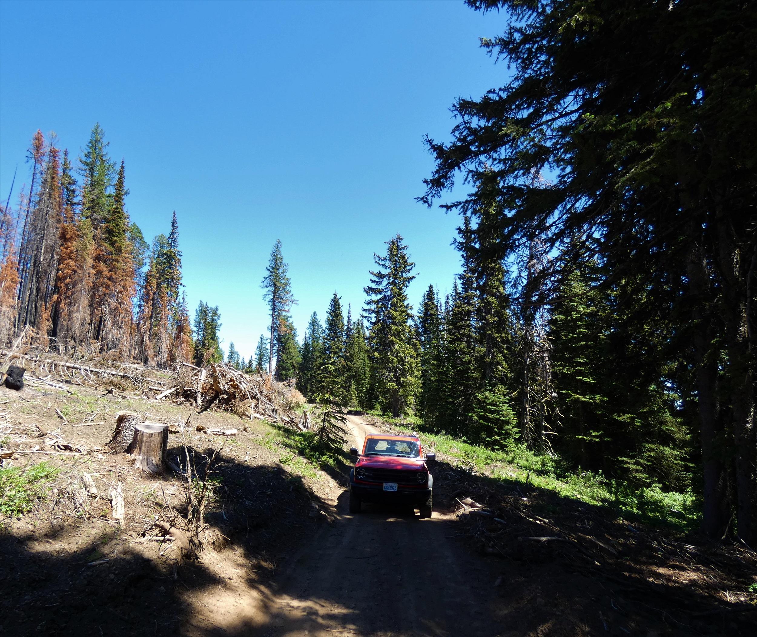 Ford Bronco Timberwolf Mountain Drive P1010606.JPG