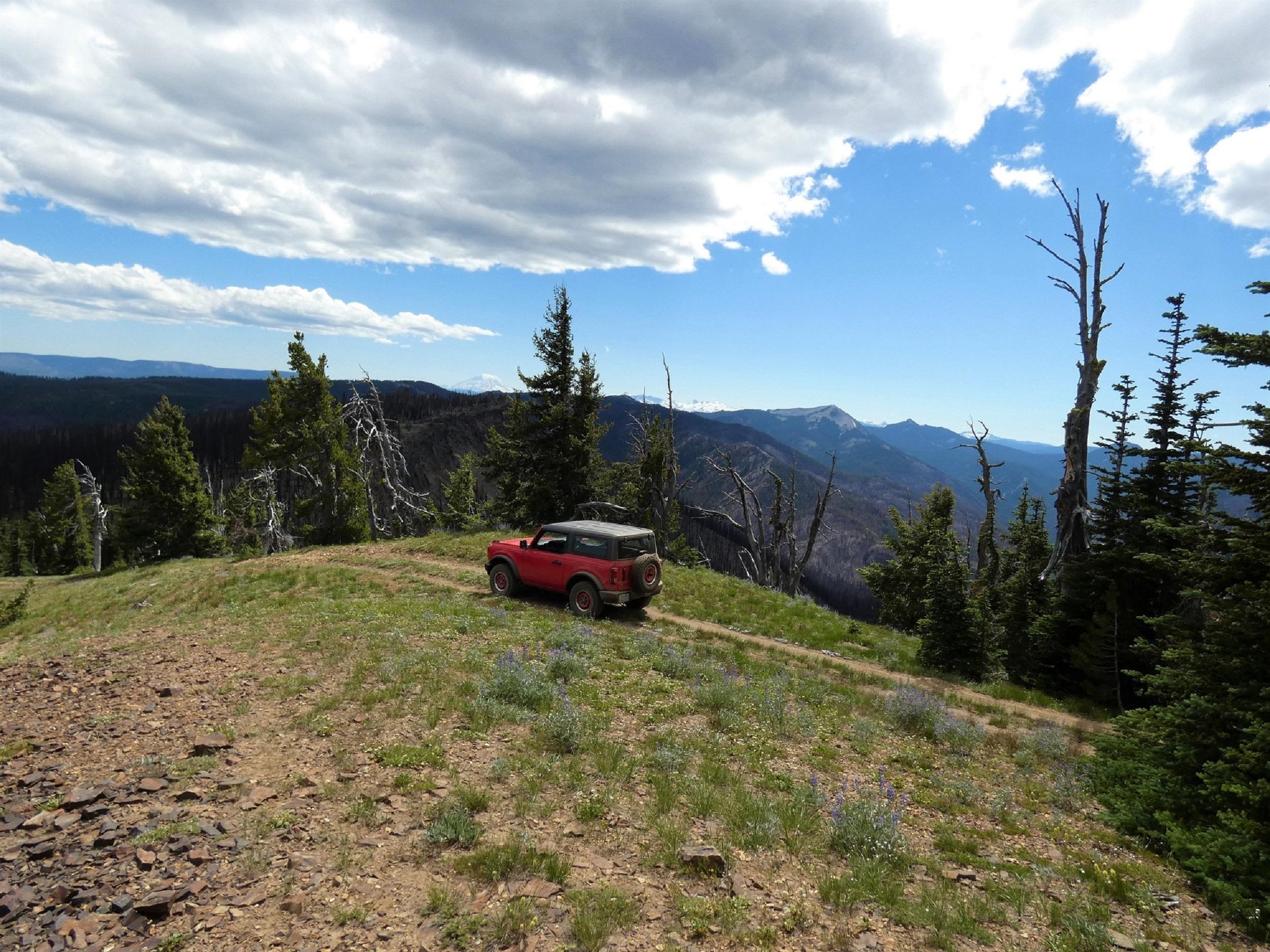 Ford Bronco Timberwolf Mountain Drive P1010647.JPG