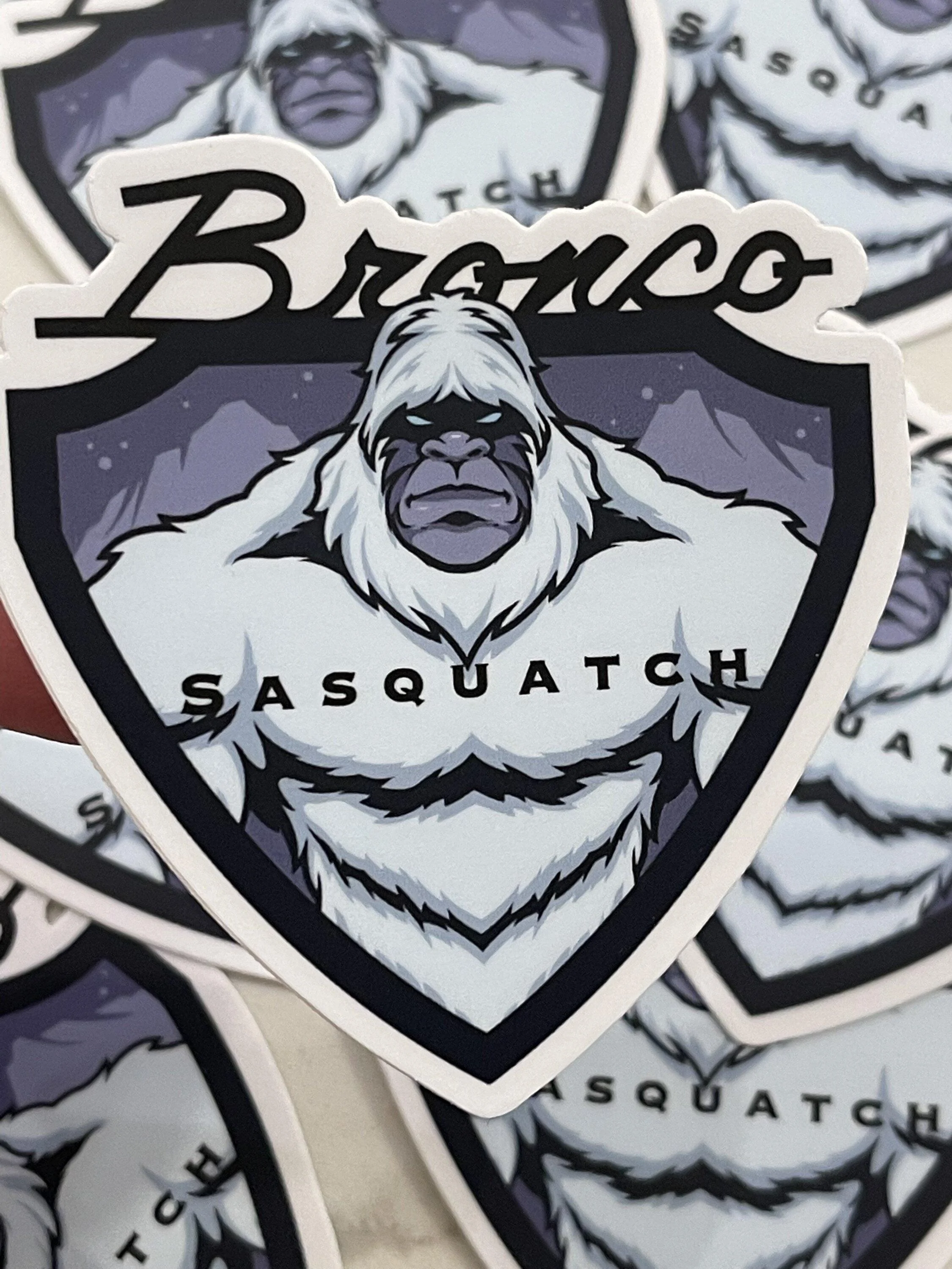 Ford Bronco Sasquatch sticker IMG_1936
