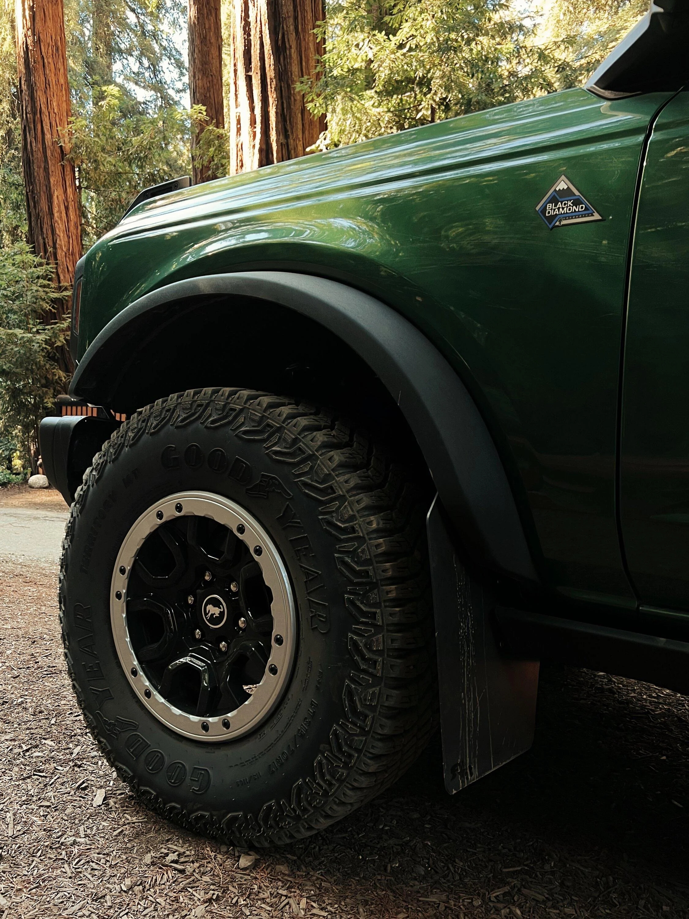 Ford Bronco Another Goodyear Rock Throwing Thread... 1299812C-6E27-4B16-95AD-73987FB3E9E8
