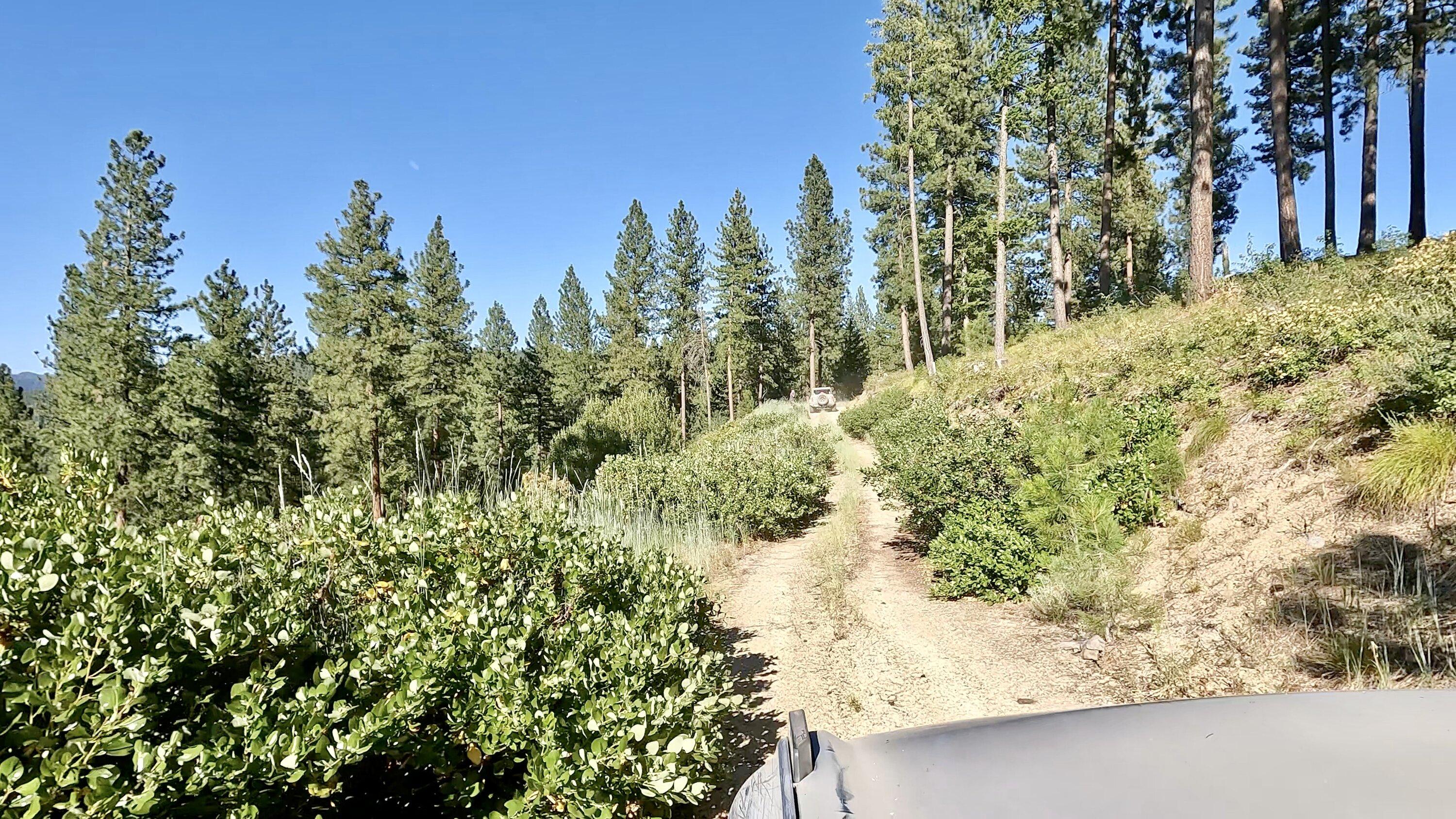 Ford Bronco Broncos Exploring Idaho's Pilot Peak and Grimes Creek! GPTempDownload-2