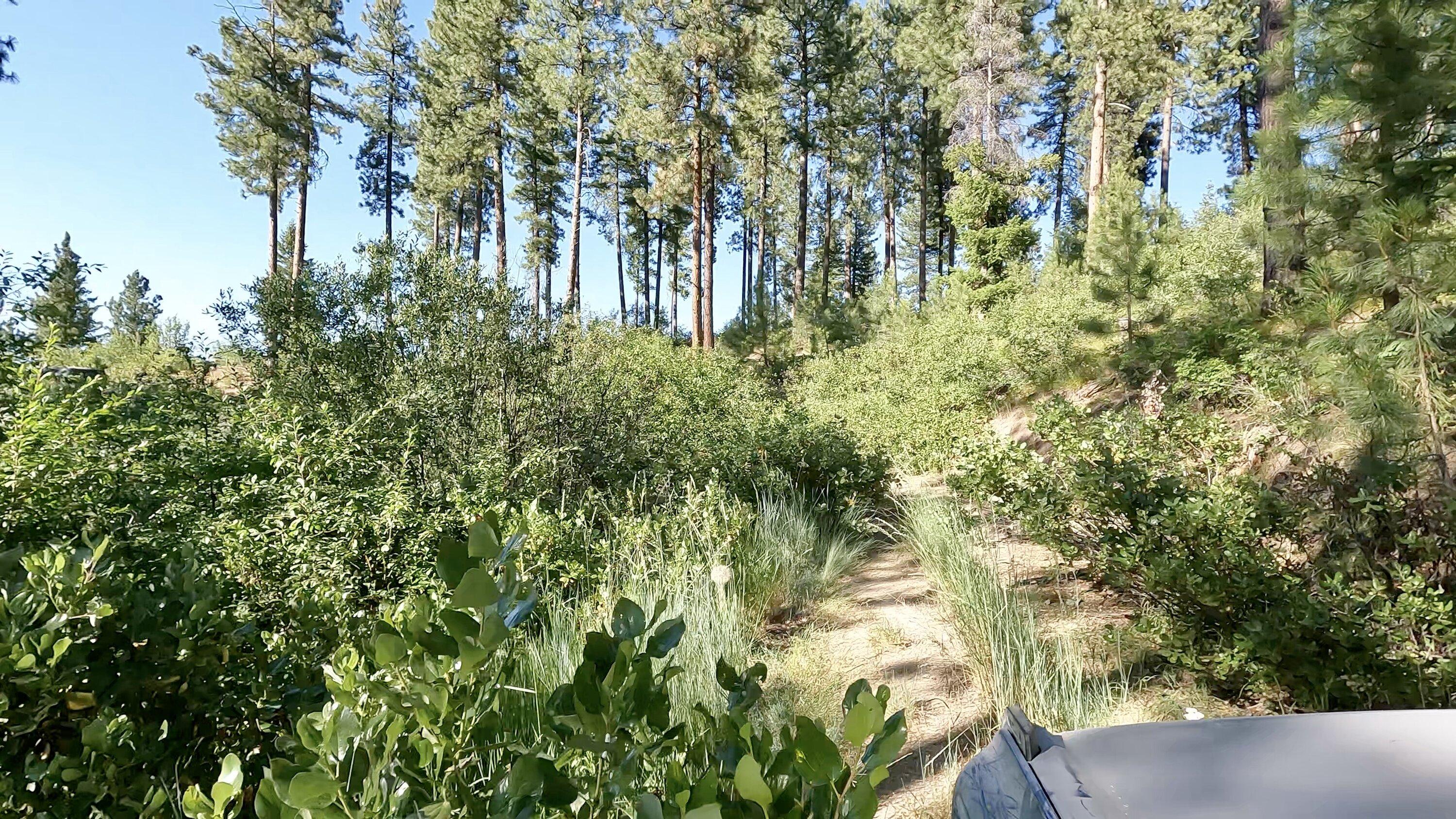 Ford Bronco Broncos Exploring Idaho's Pilot Peak and Grimes Creek! GPTempDownload-3