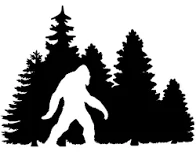 Ford Bronco Squatchin’ paraphernalia/stickers images