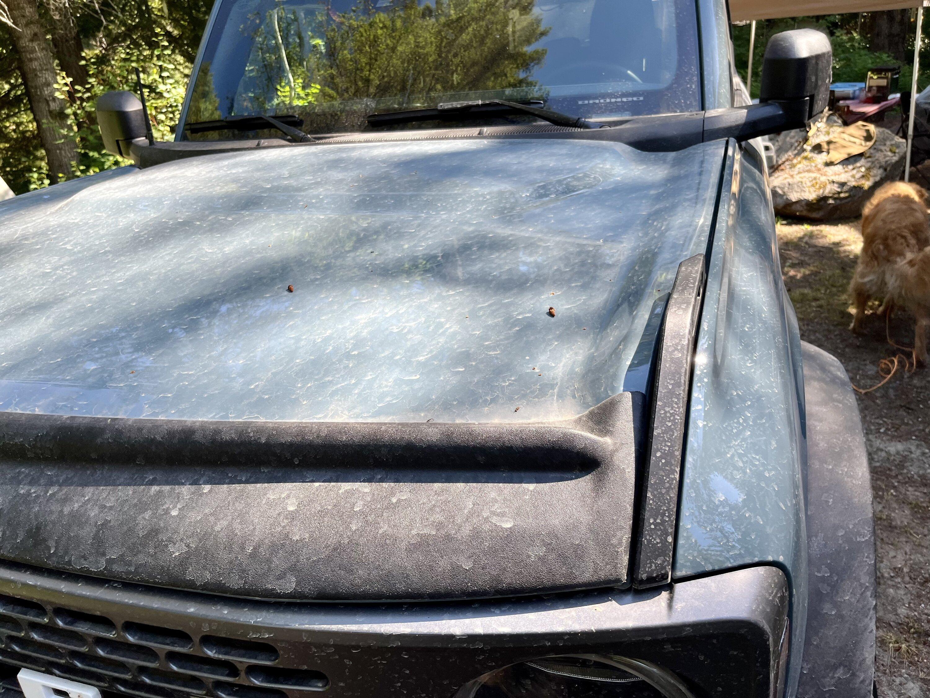 Ford Bronco Area 51 or eruption green? 7698BEE1-7848-4C3E-84BC-BA0820829A64