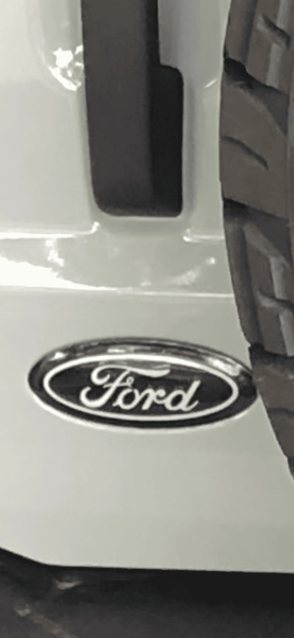 Ford Bronco Black Ford Oval Emblems 8DAF0ED7-559B-438C-8906-5A12A9CA3B57