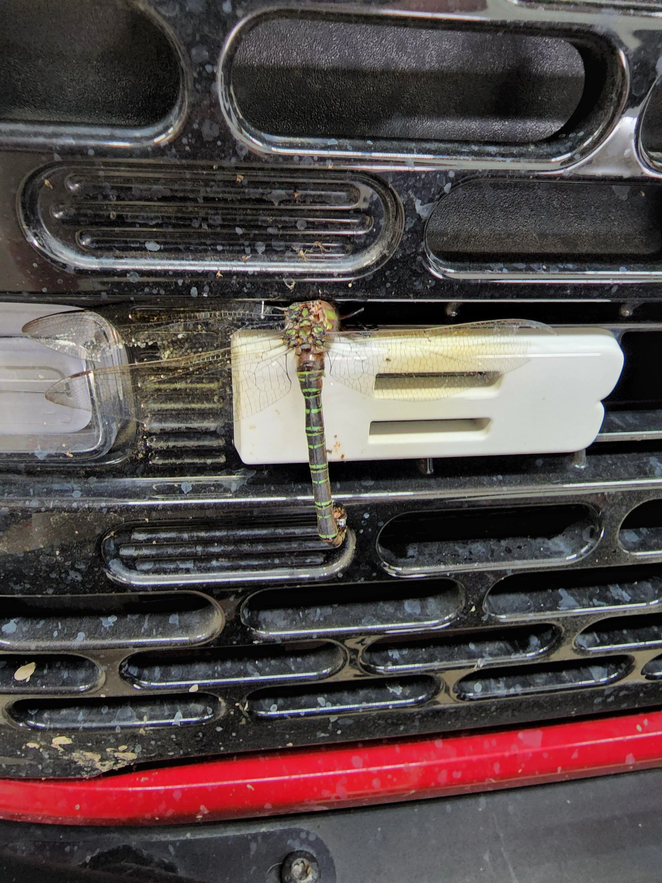 Ford Bronco What did you do TO / WITH your Bronco today? 👨🏻‍🔧🧰🚿🛠 20220731_120104