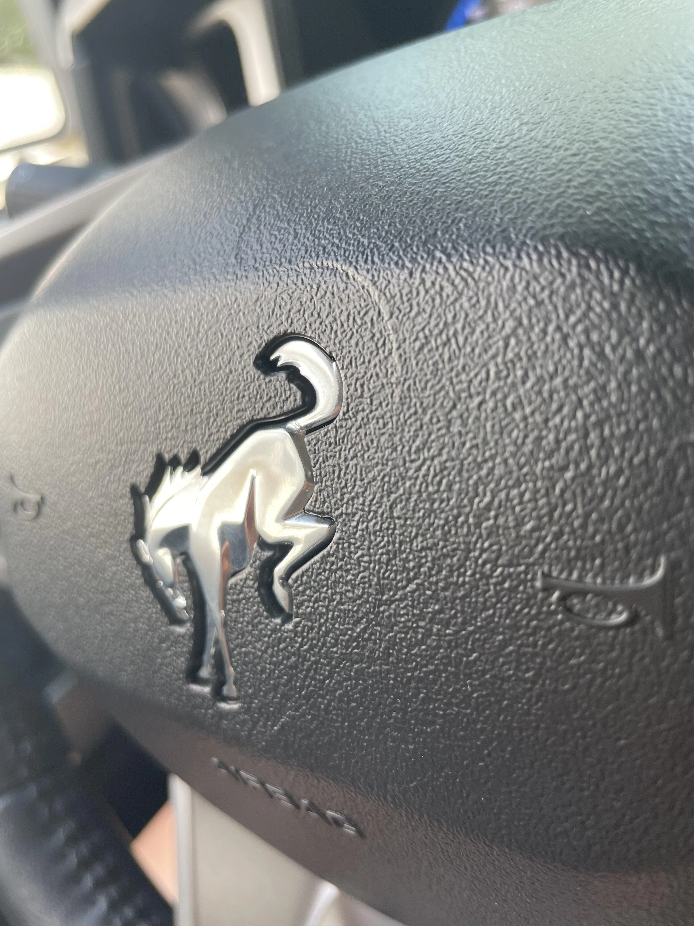 Ford Bronco Airbag / Steering Wheel crack? D722CB4A-0F6F-4369-8440-5F97FC2CF081