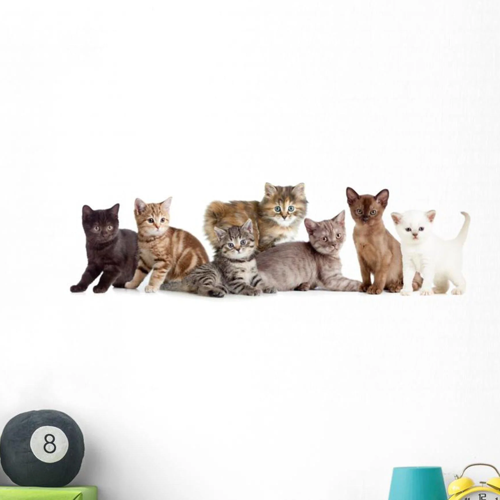 Ford Bronco Dash repair different-kitten-or-cats-panoramic-wall-decal