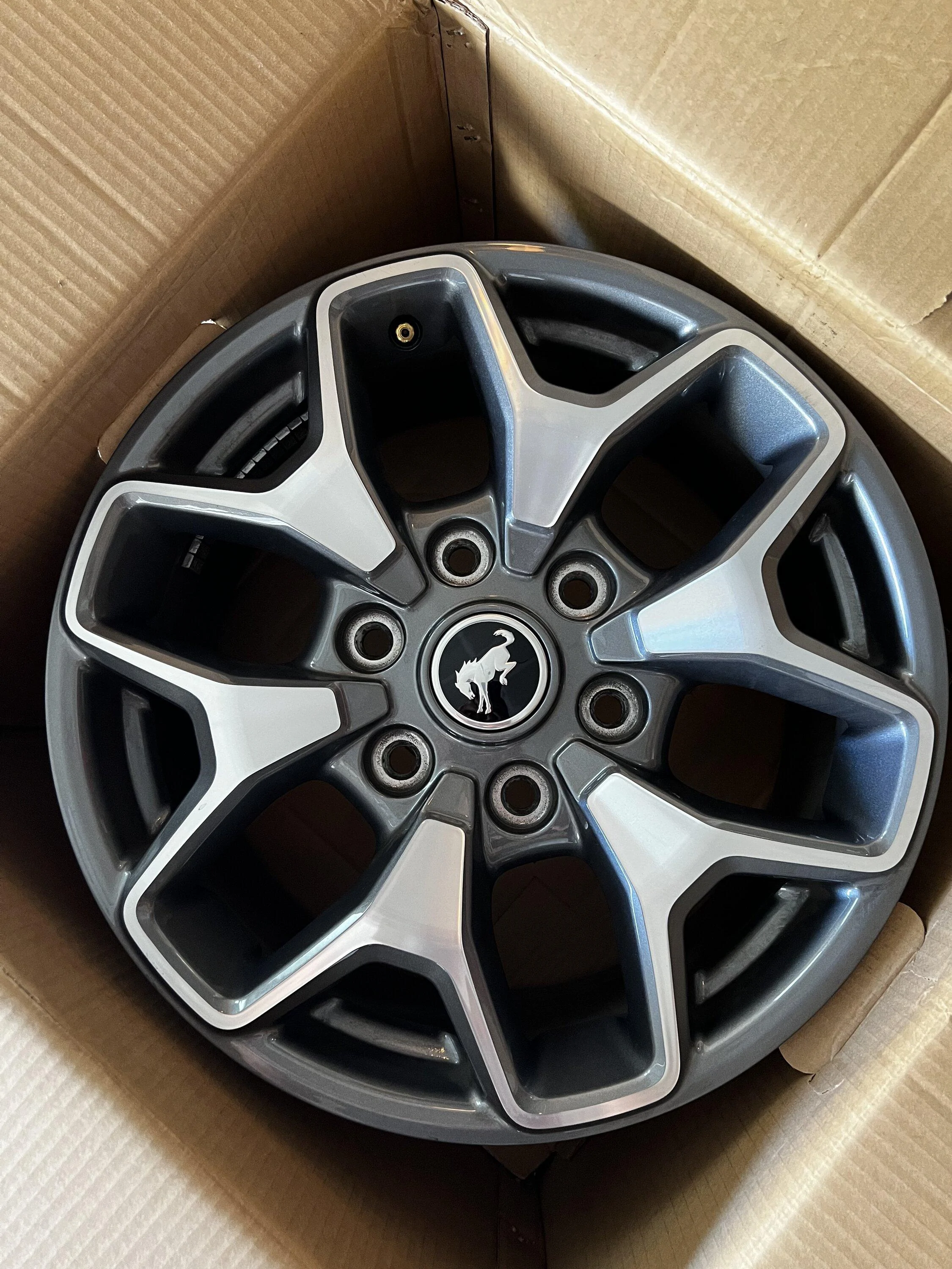Ford Bronco Badlands standard wheels 8FFA1CF3-8E14-4D7E-9698-5EC6D1E7F949