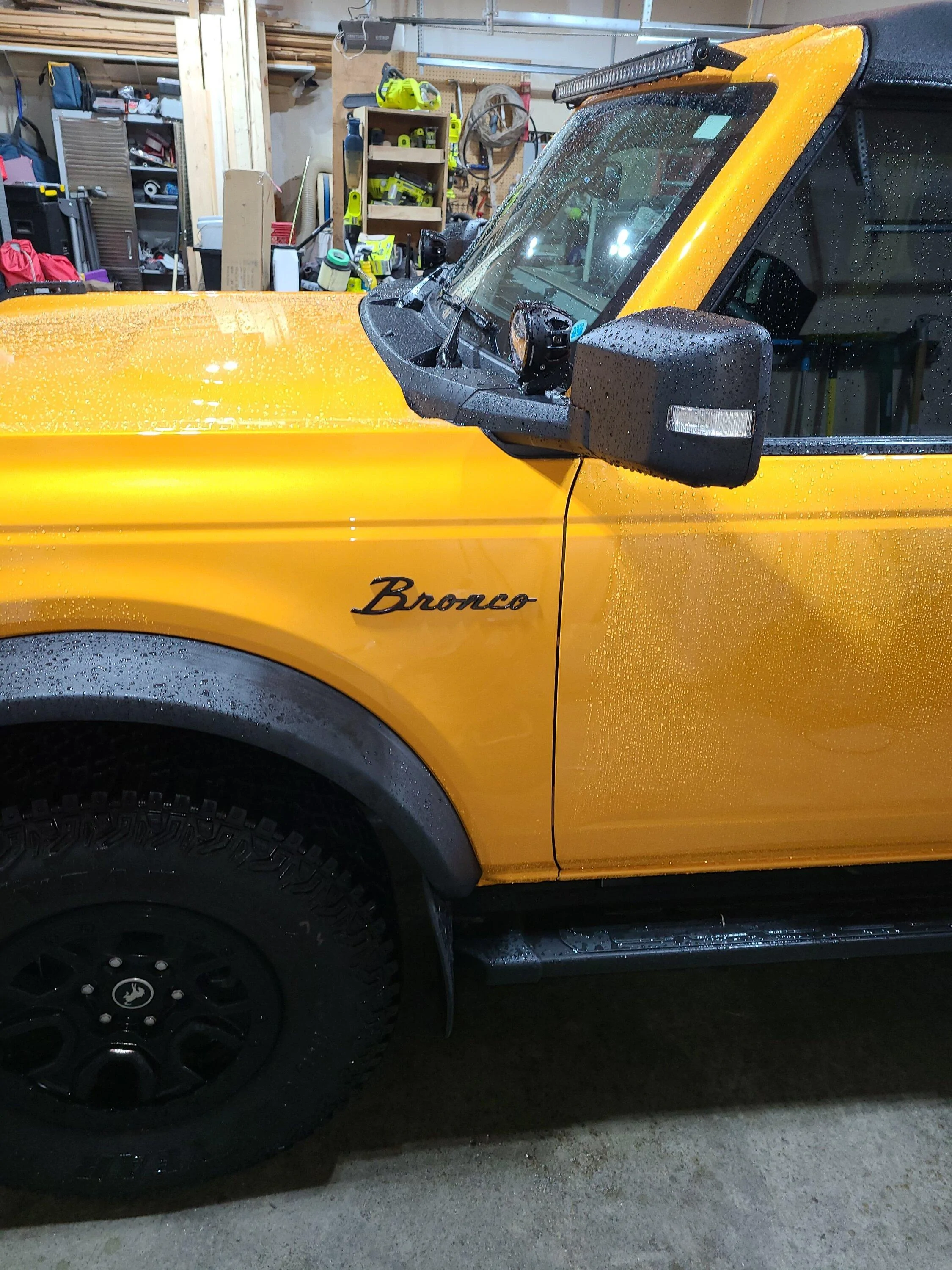 Ford Bronco Badges? Fender Badg