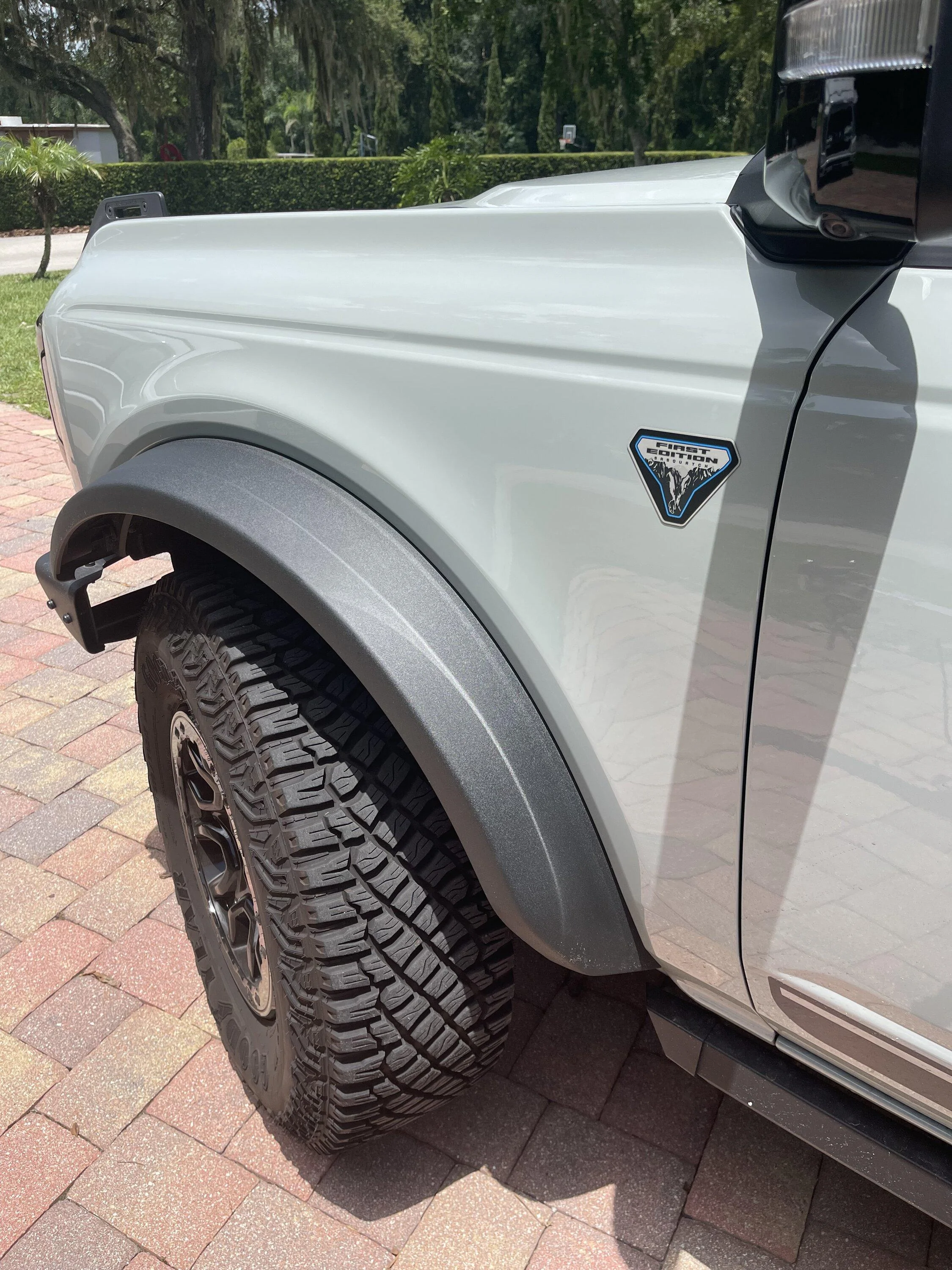 Ford Bronco 2021 Ford Bronco First Edition 2D3E484F-71FF-4215-9ED0-43DADDAE5AB0