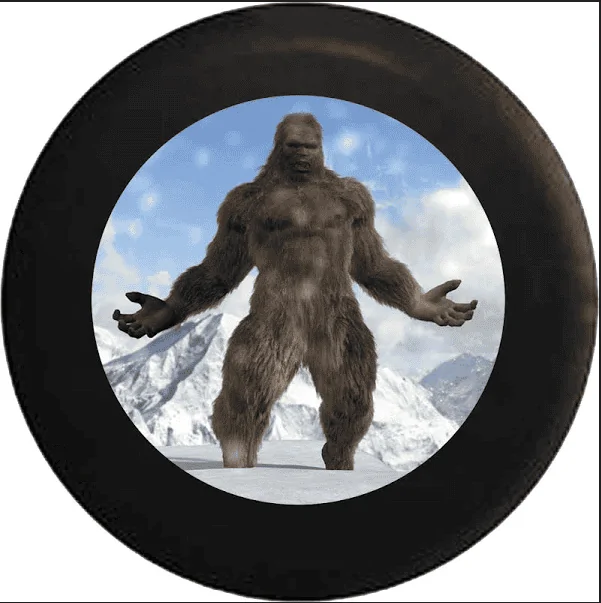 Ford Bronco Custom tire cover with a backup camera hole? tir