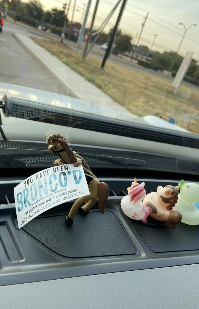 Ford Bronco I GOT BUCKED! A0A20E9F-AE47-44FB-A2E5-3CFB2FFA105E