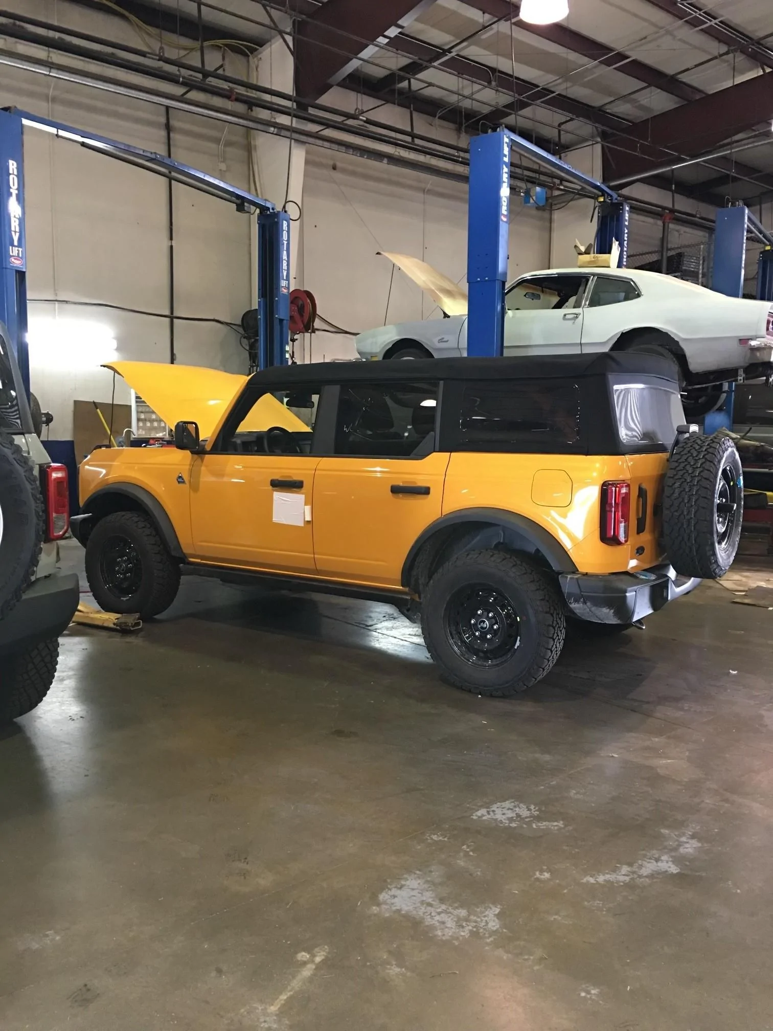 Ford Bronco My Lucky Day! br