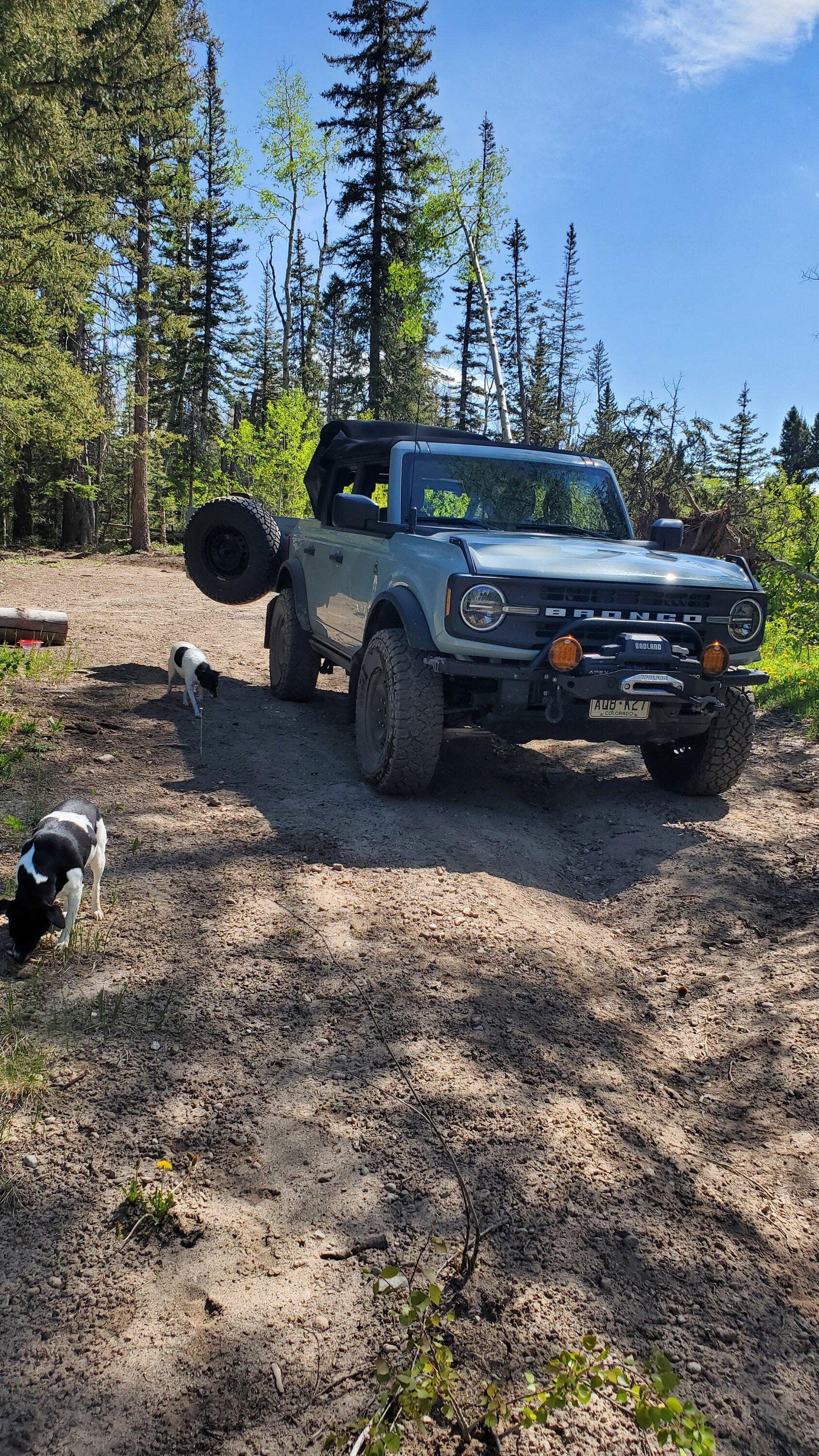 Ford Bronco Post your BEFORE & AFTER! 20220612_103300