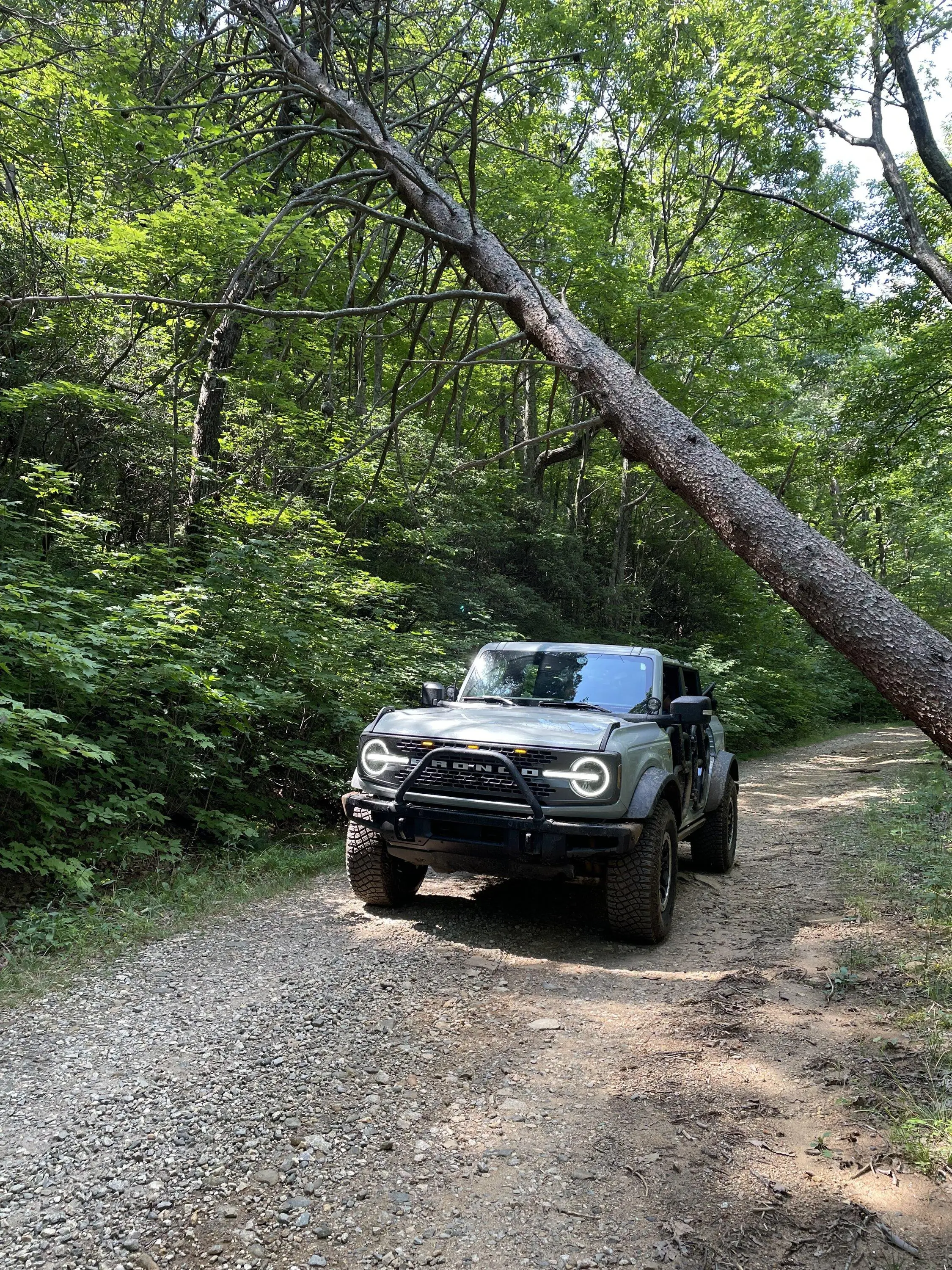 Ford Bronco What did you do TO / WITH your Bronco today? 👨🏻‍🔧🧰🚿🛠 30851BAC-7F16-4DA6-9C3B-B6F57EF3593D