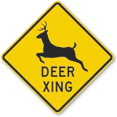 Ford Bronco Bronco vs. Deer 1660580463202