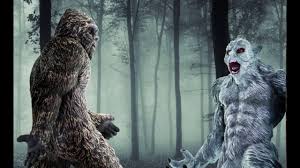 yeti.jpg