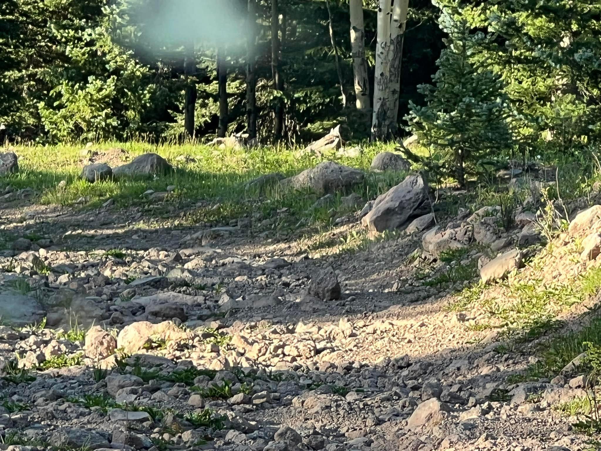 Ford Bronco Live Trip Updates From the Continental Divide Trail in an OBX Bronco 298410201_3164886113826210_4946903232924154073_n