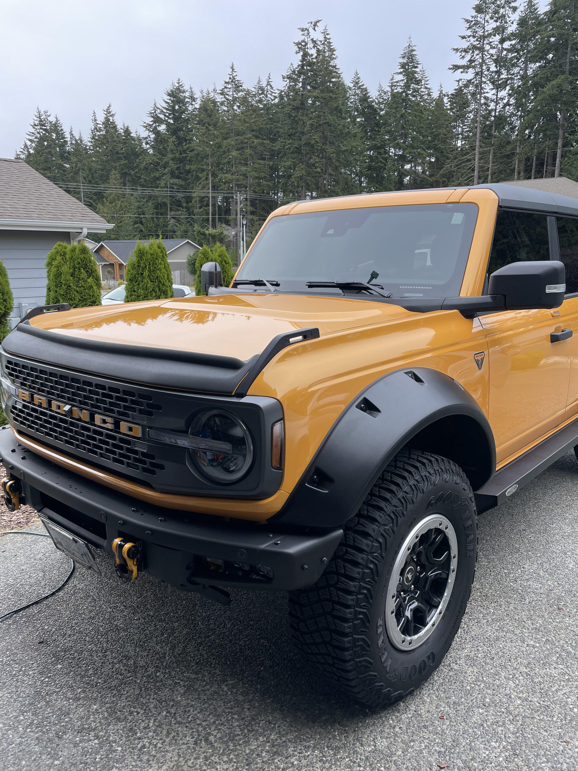 Ford Bronco Pepe Getting Plastic Surgery - It never truly ends tempImageUwxBa0