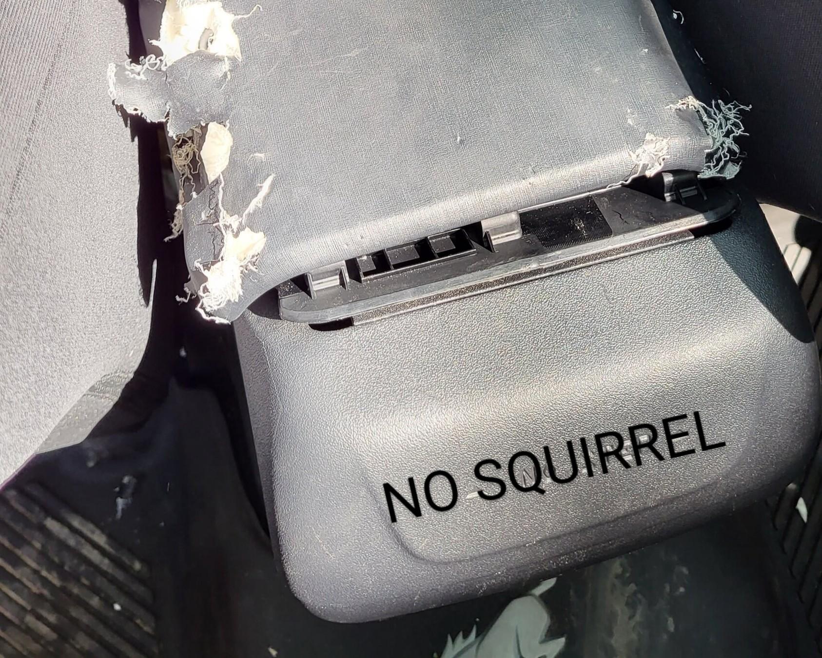 Ford Bronco Squirrels are a$$holes 20220827_114824~3