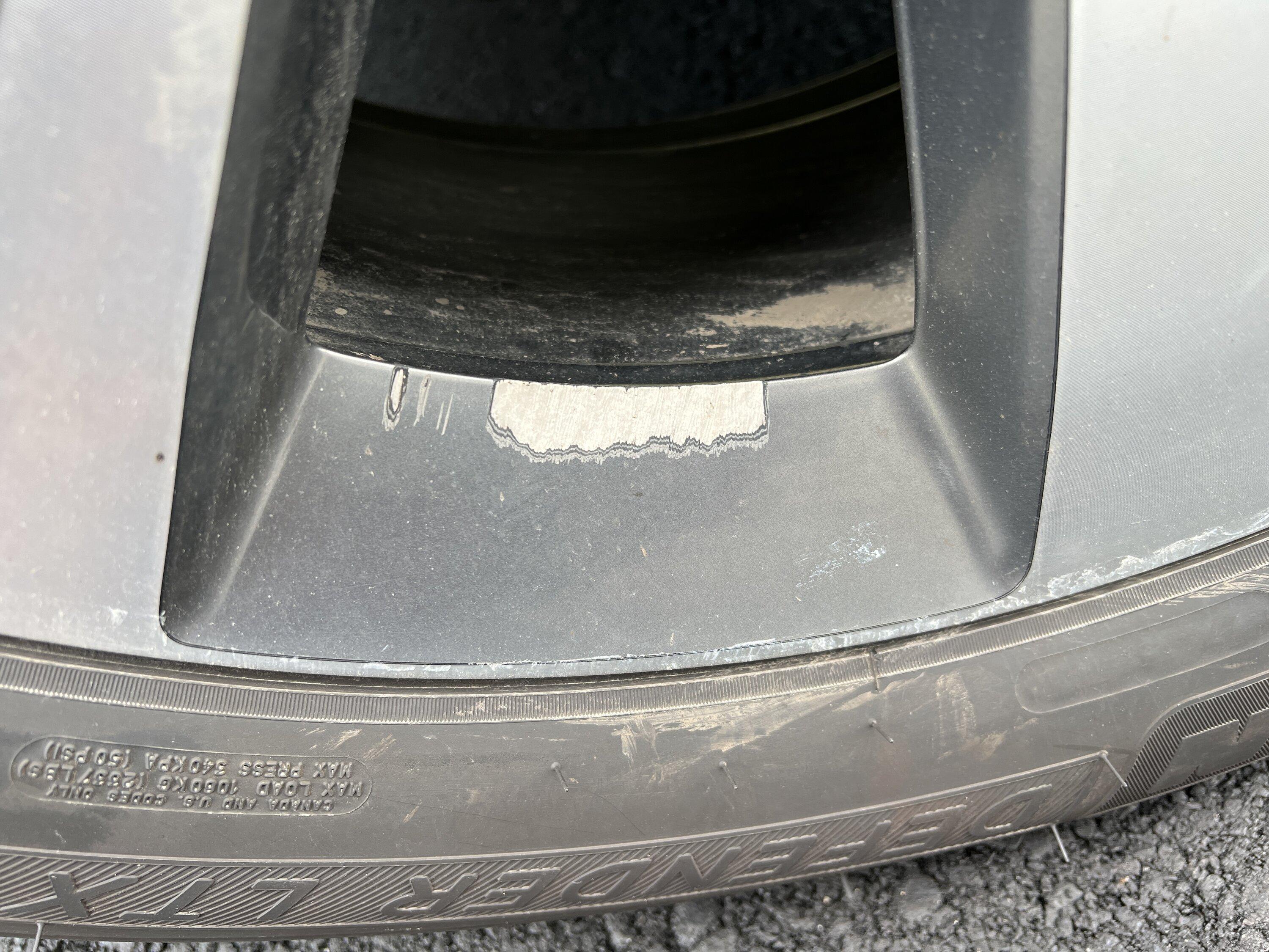 Ford Bronco Squirrels are a$$holes 22FFE6D1-A097-4C1B-9C4B-EC10B36A7660