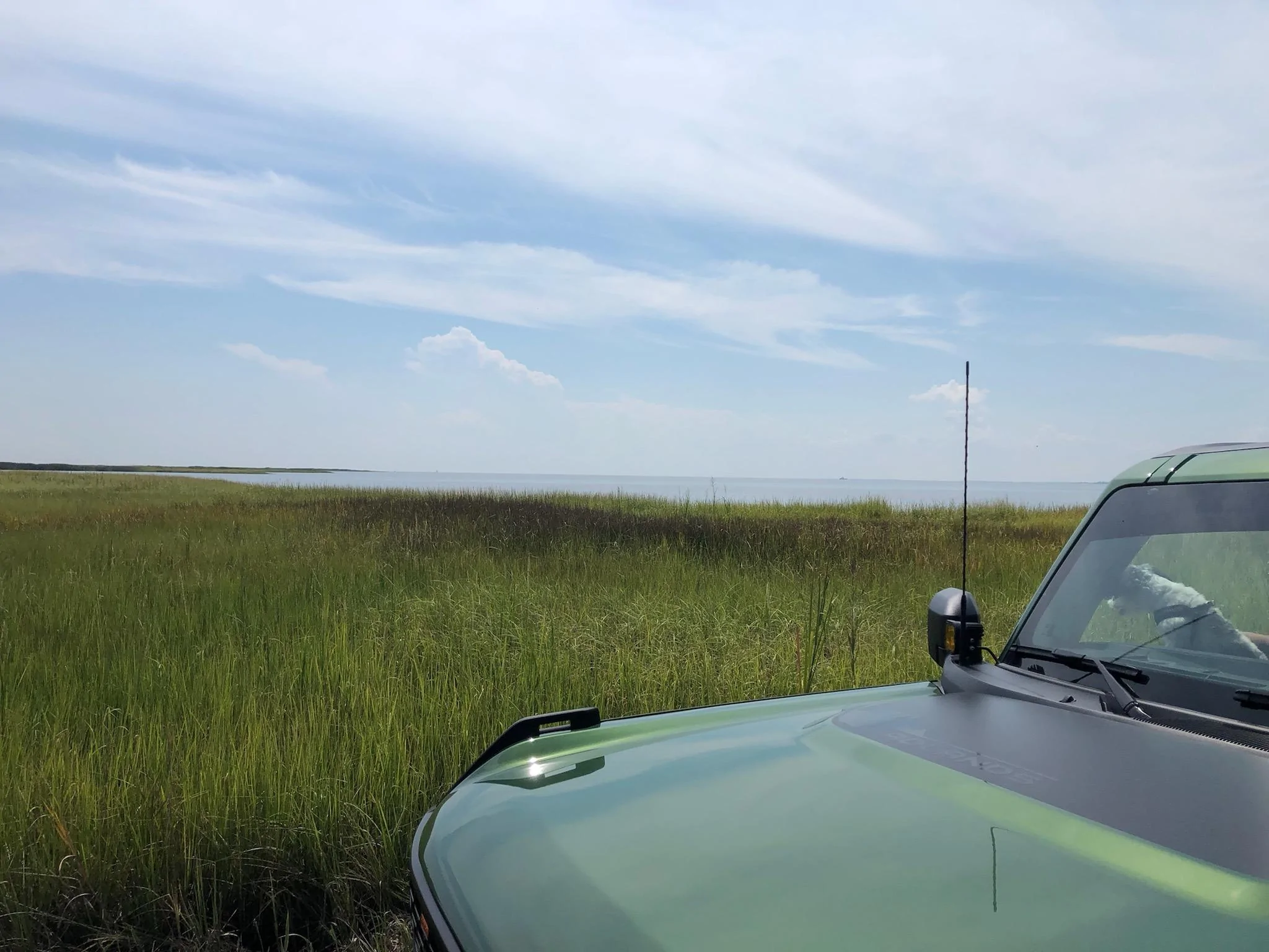 Ford Bronco NJ Marsh & Pines Build 654B92B1-0F9A-4C06-B675-EBB1E98497CA