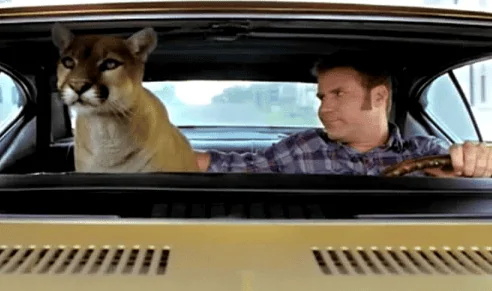 Ford Bronco Squirrels are a$$holes 1661701777792
