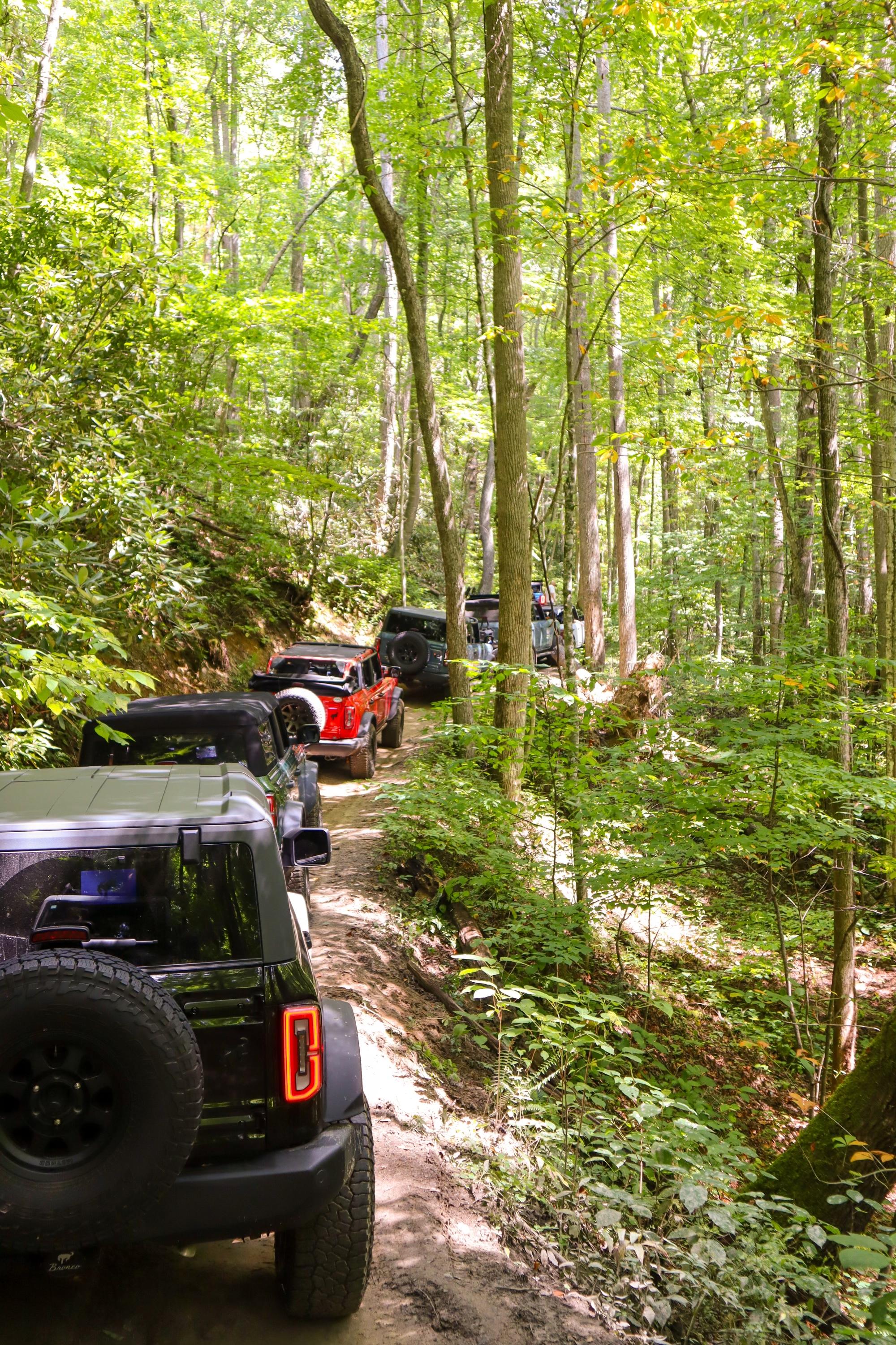 Ford Bronco Bronco Meetup Drive Round-Up-Recap video (Hurricane Creek / Max Patch) 2ED73800-4C65-41A1-AFE5-4EC1AA401FE8