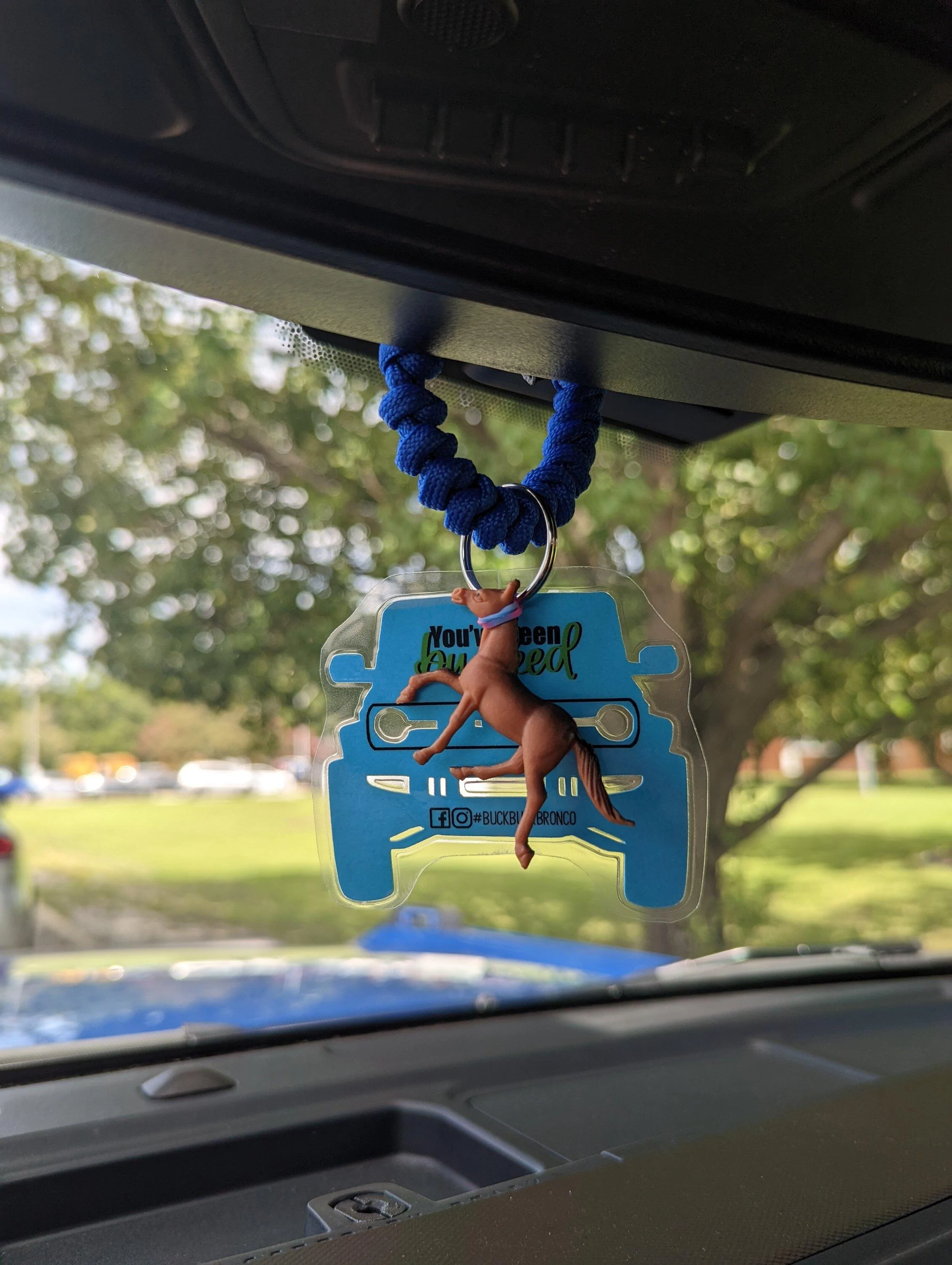 Ford Bronco Jazer's Blu Pony PXL_20220901_183734045