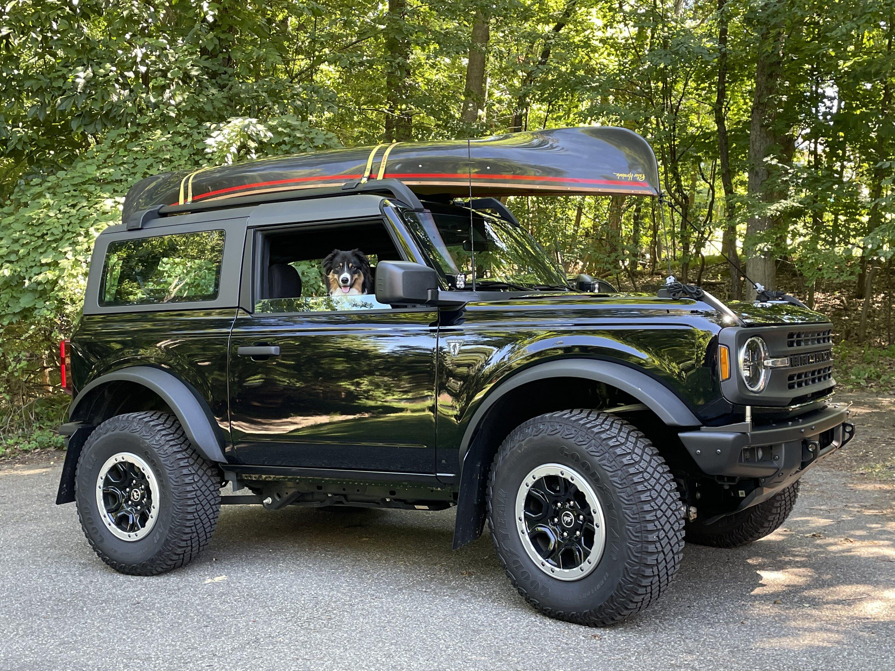 Ford Bronco What did you do TO / WITH your Bronco today? 👨🏻‍🔧🧰🚿🛠 CA1093D7-8BD8-47EB-A2B2-4D244BC1AA83