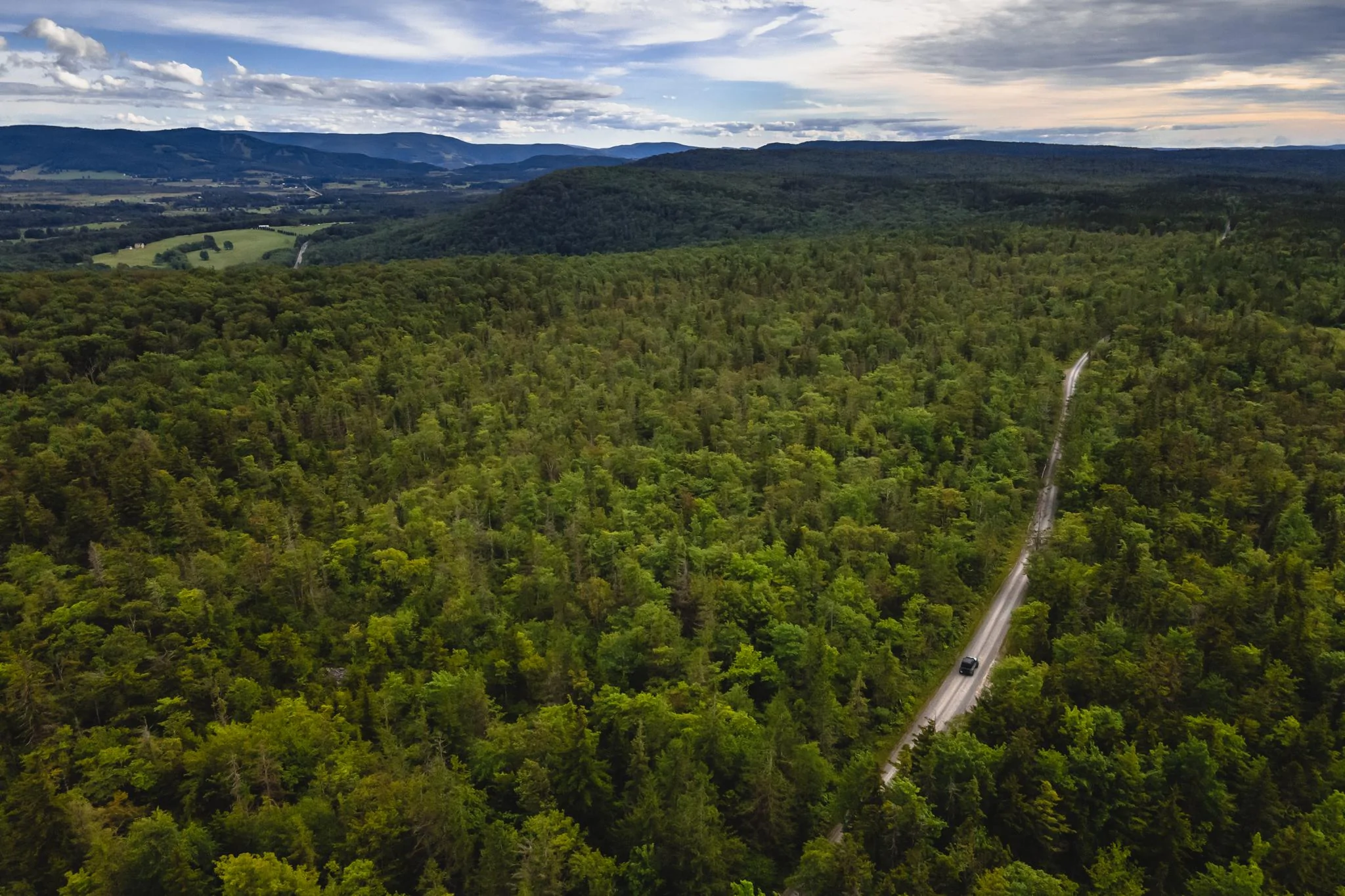 Ford Bronco Bronco camp out on Canaan Loop in Davis, WV! DJI_0088