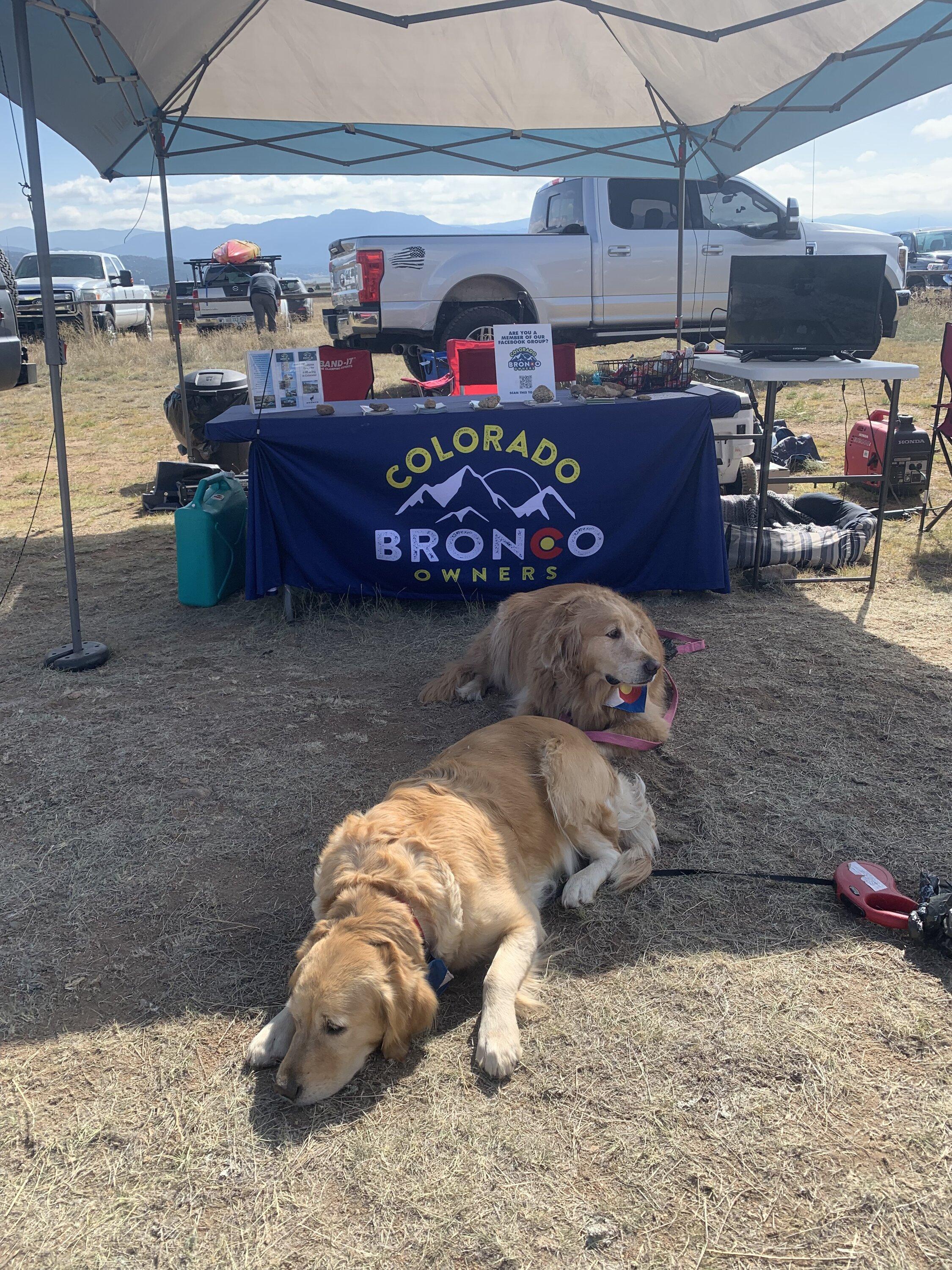 Ford Bronco Pics from Bronco Celebration West Buena Vista - add yours! 4C8E1A97-42A2-448C-A993-5370536523A7
