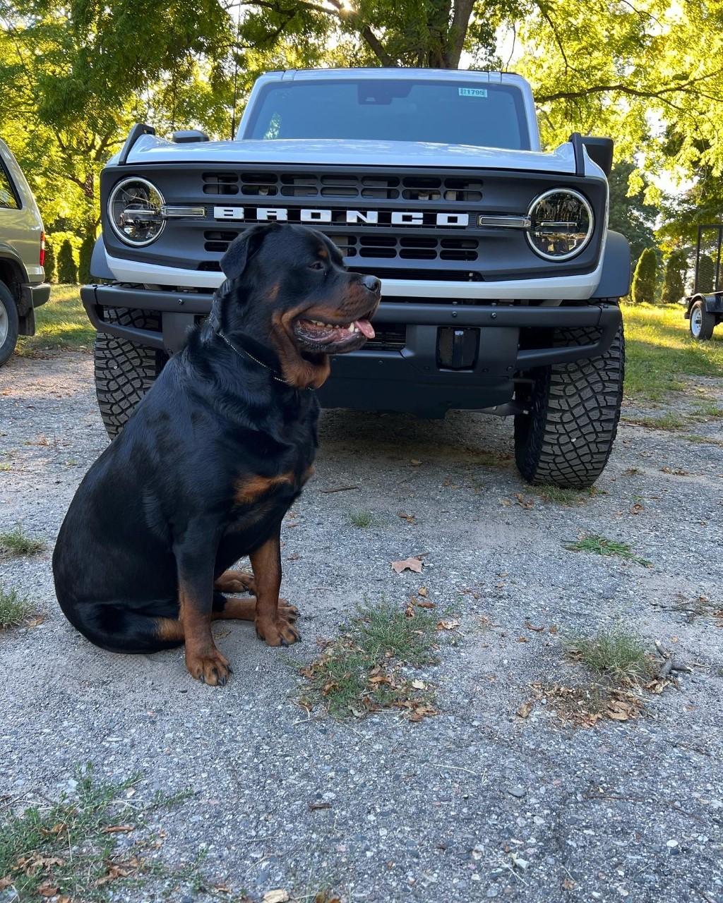 Ford Bronco Finally got my 2022 Black Diamond ManSquatch BRONCO AND DIESEL