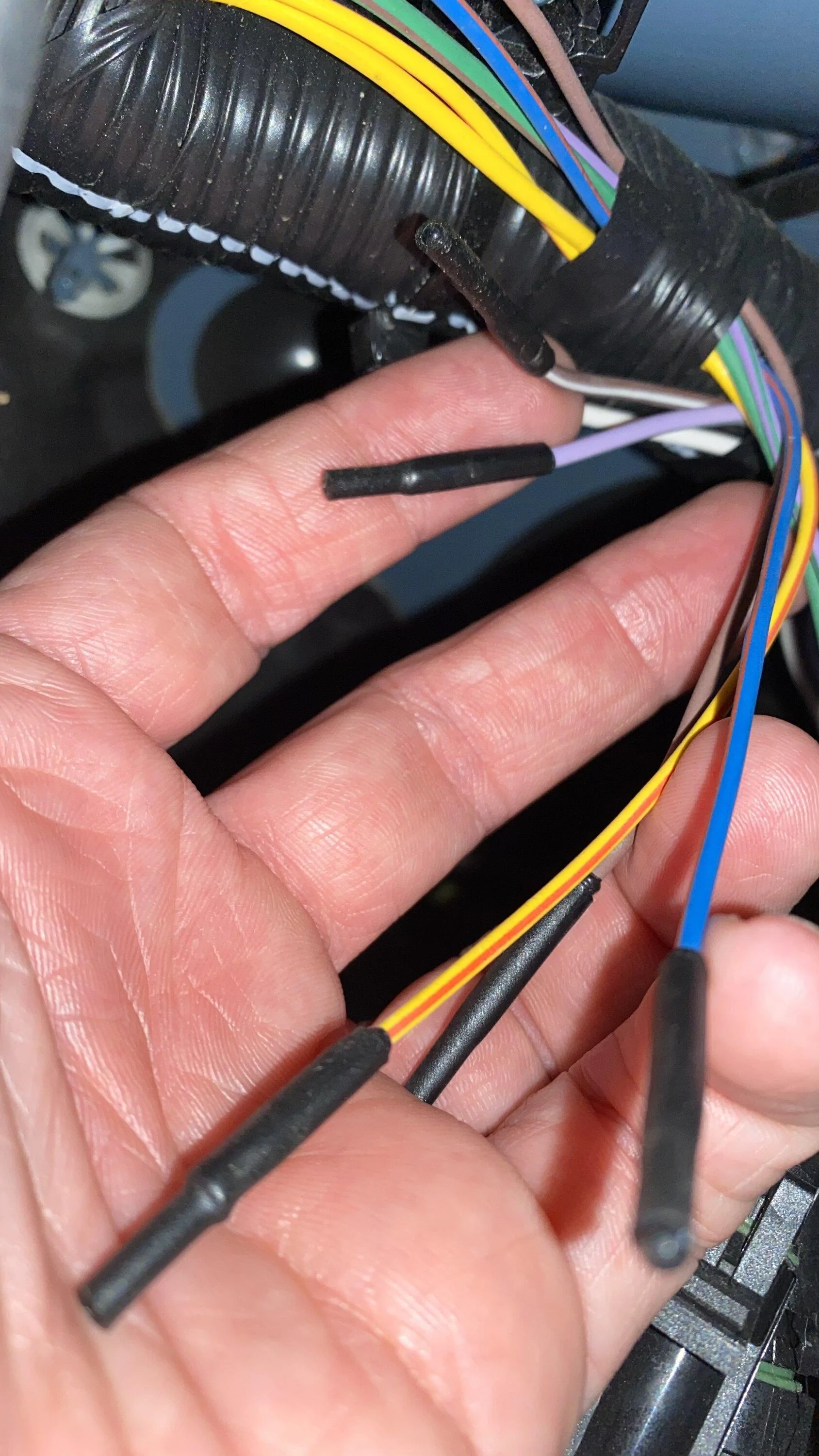Ford Bronco Air horn wiring help needed C26695F3-6824-4657-B14A-5A3A3D259C8F