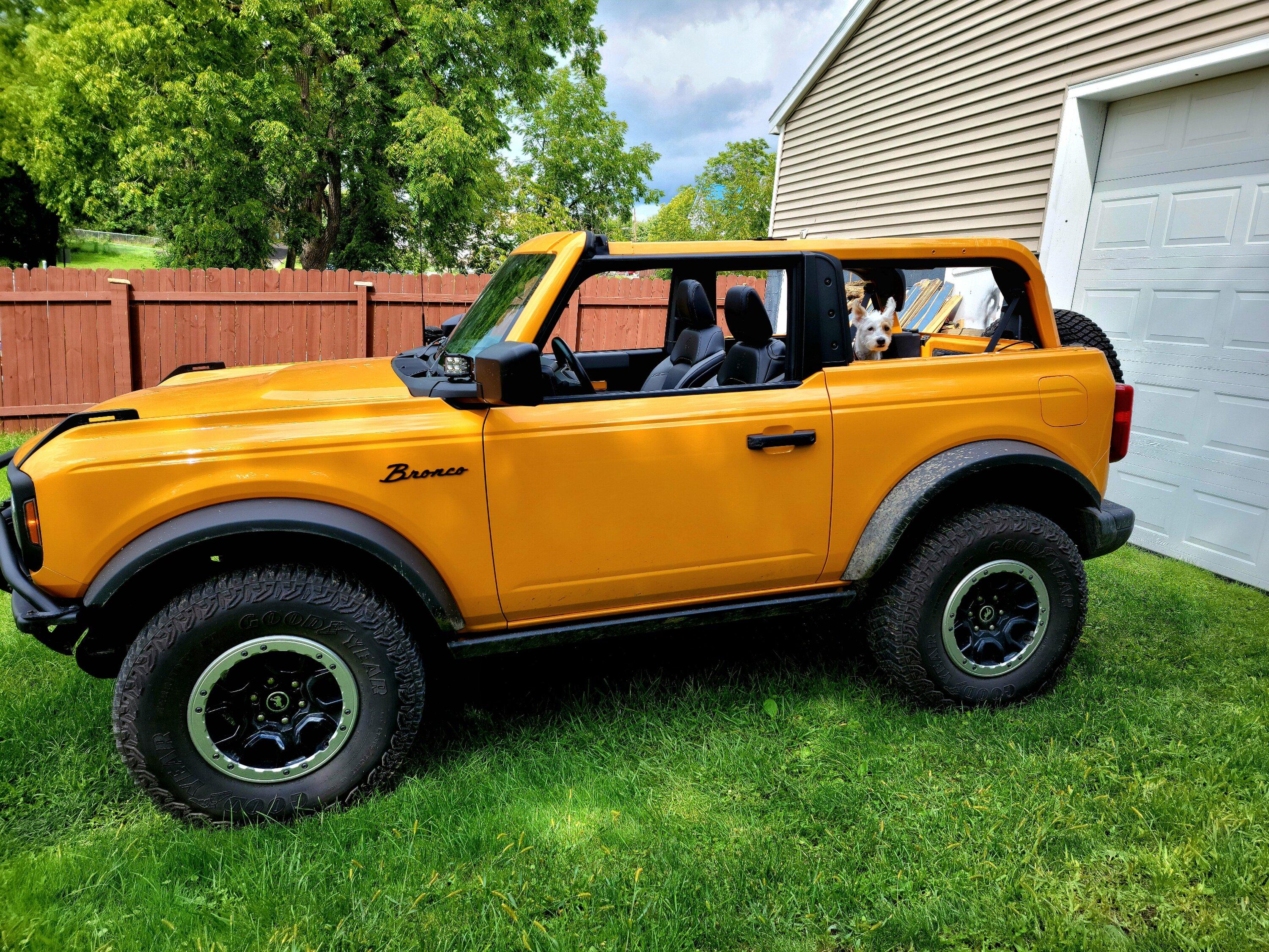 Ford Bronco 🐾 Show Us Your Dog + Bronco Photos! 20220913_115804