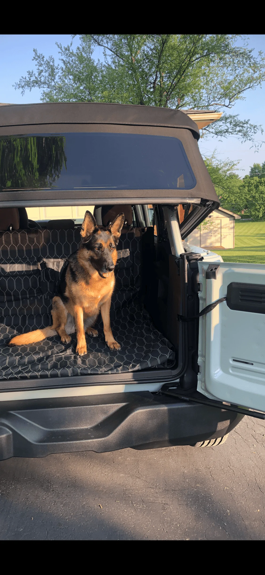 Ford Bronco 🐾 Show Us Your Dog + Bronco Photos! CC1C83AF-DACD-4DAE-8CC6-C49E33B4B185