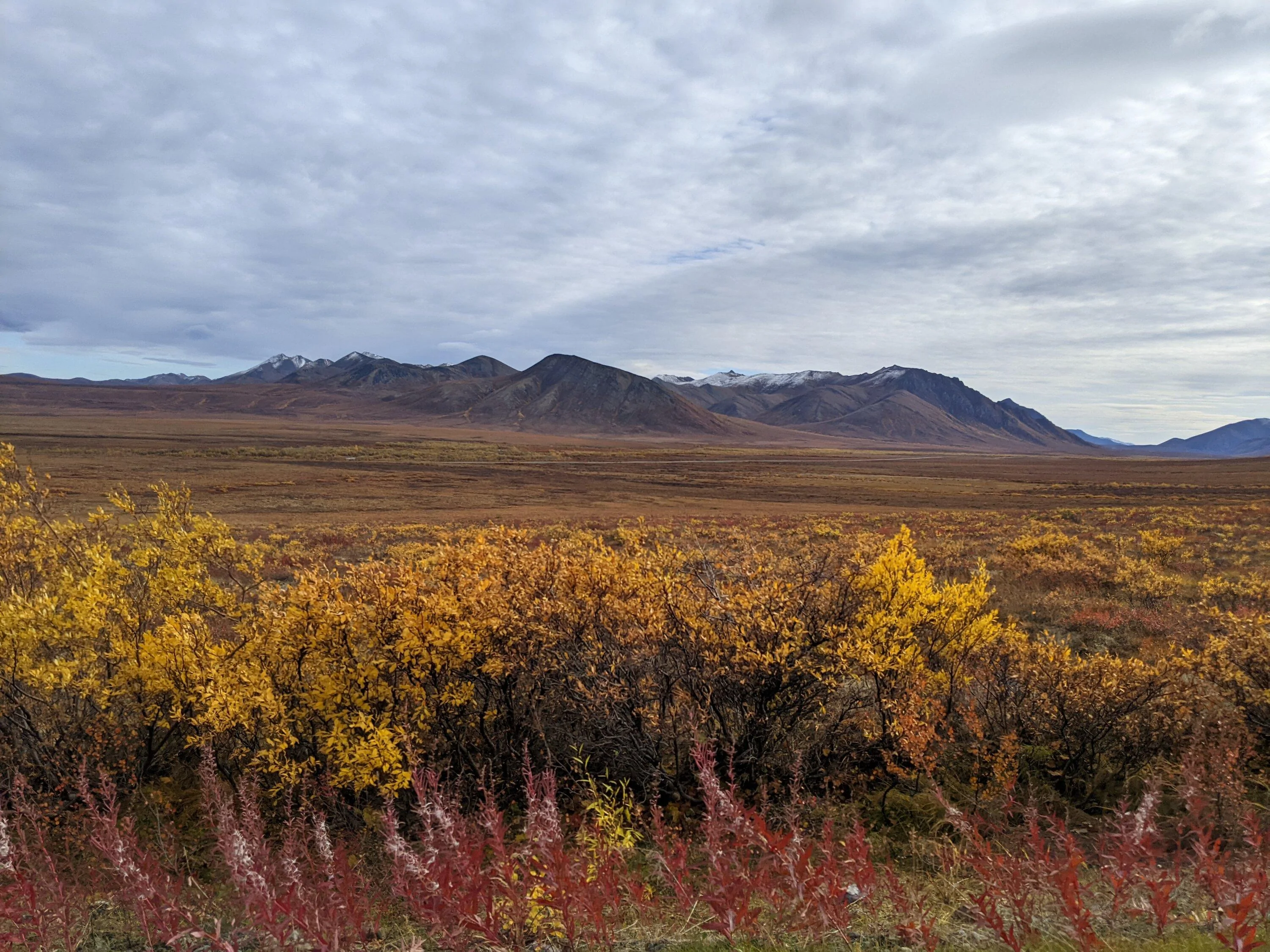 Ford Bronco Toronto to Tombstone Territorial Park, Yukon and Back in The Hulk Badlands Bronco tombstone12