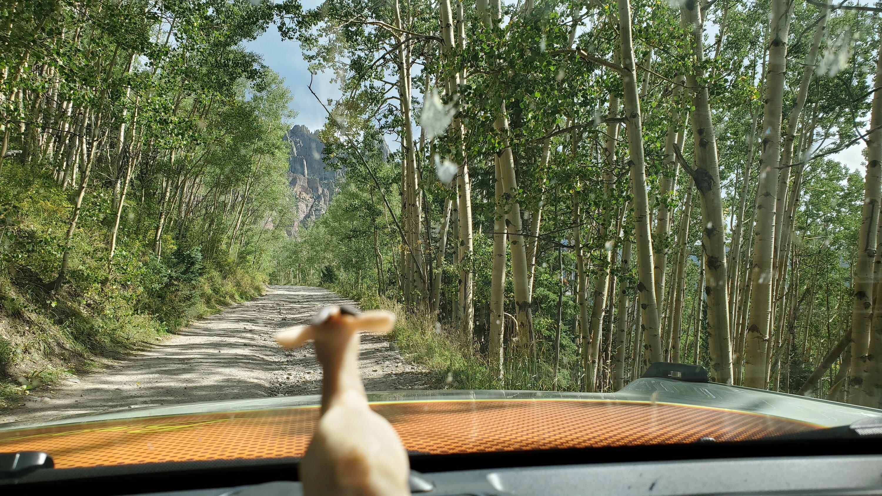 Ford Bronco Colorado Road Trip:  Bridal Veil Falls, Alta Ghost Town & Imogene Pass fallsgoat